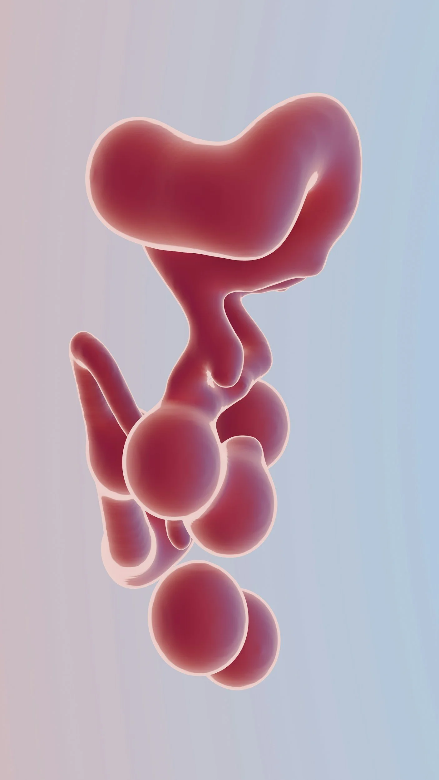 After a Failed Embryo Transfer: How Fertility Acupuncture and TCM May Support Your Next IVF Step in Aurora