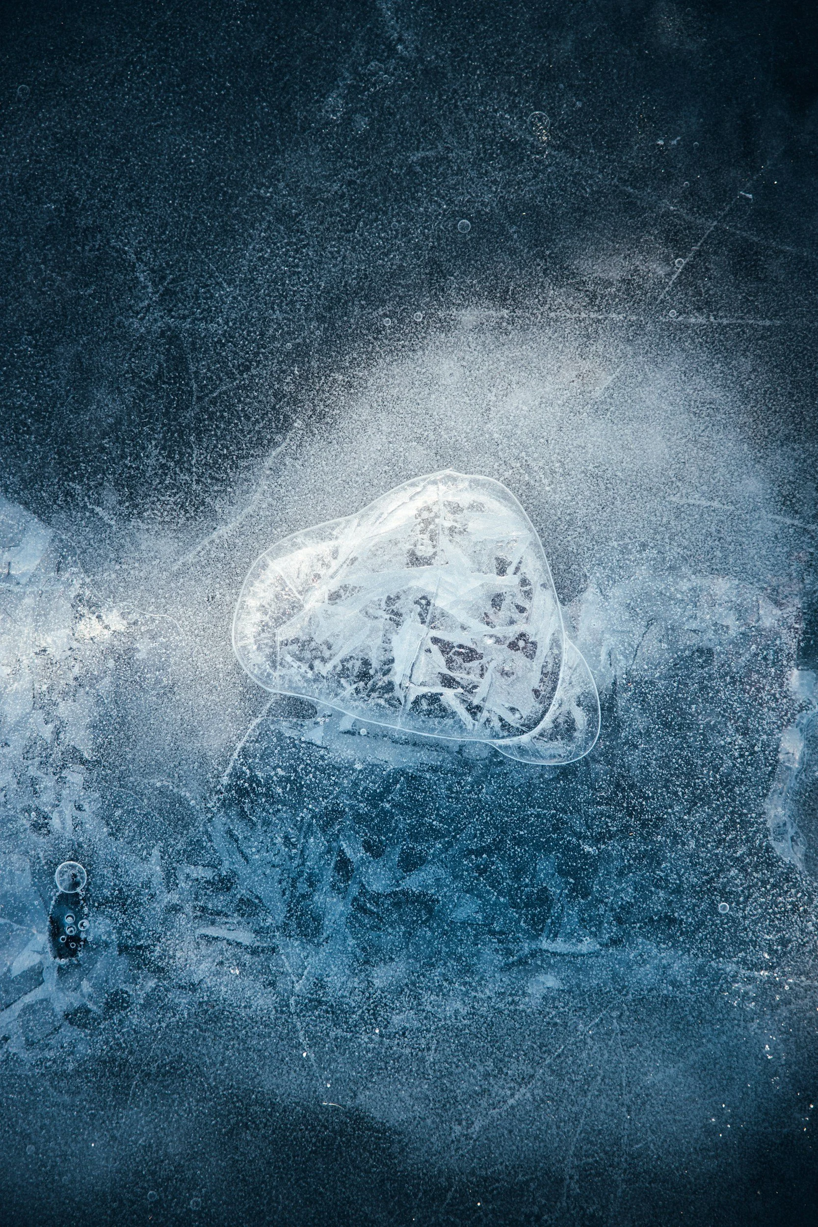 Frozen Embryo Transfer Acupuncture in Aurora: When to Book Before and After FET