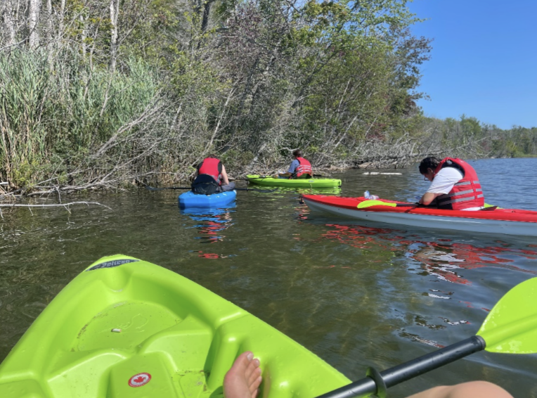 People kayaking on a calm river near a wooded shoreline on a sunny day.