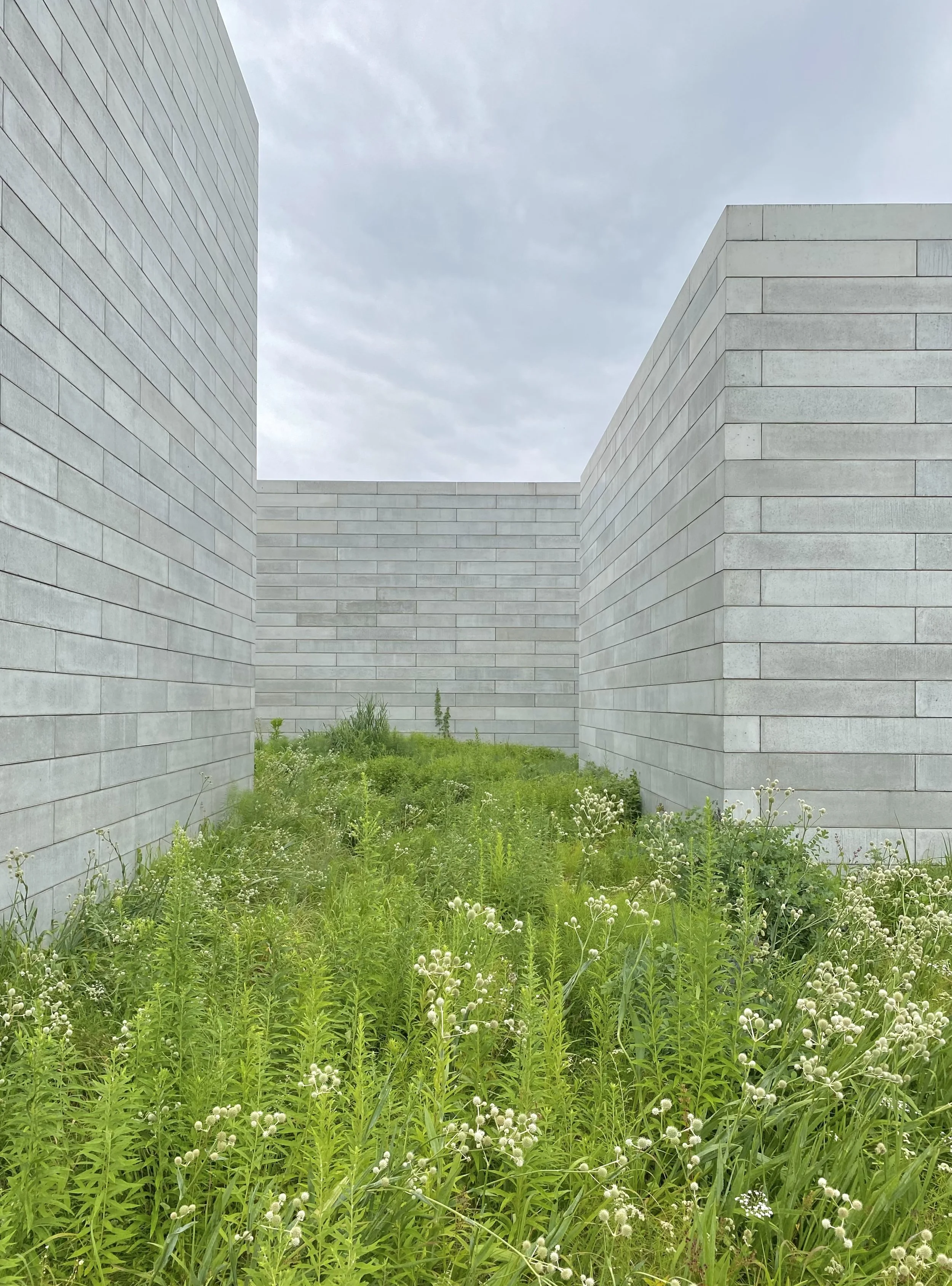 Licensed clinical psychologist Jeremy Steglitz, Ph.D., offering telehealth psychotherapy services and clear fee structures for adults and couples.