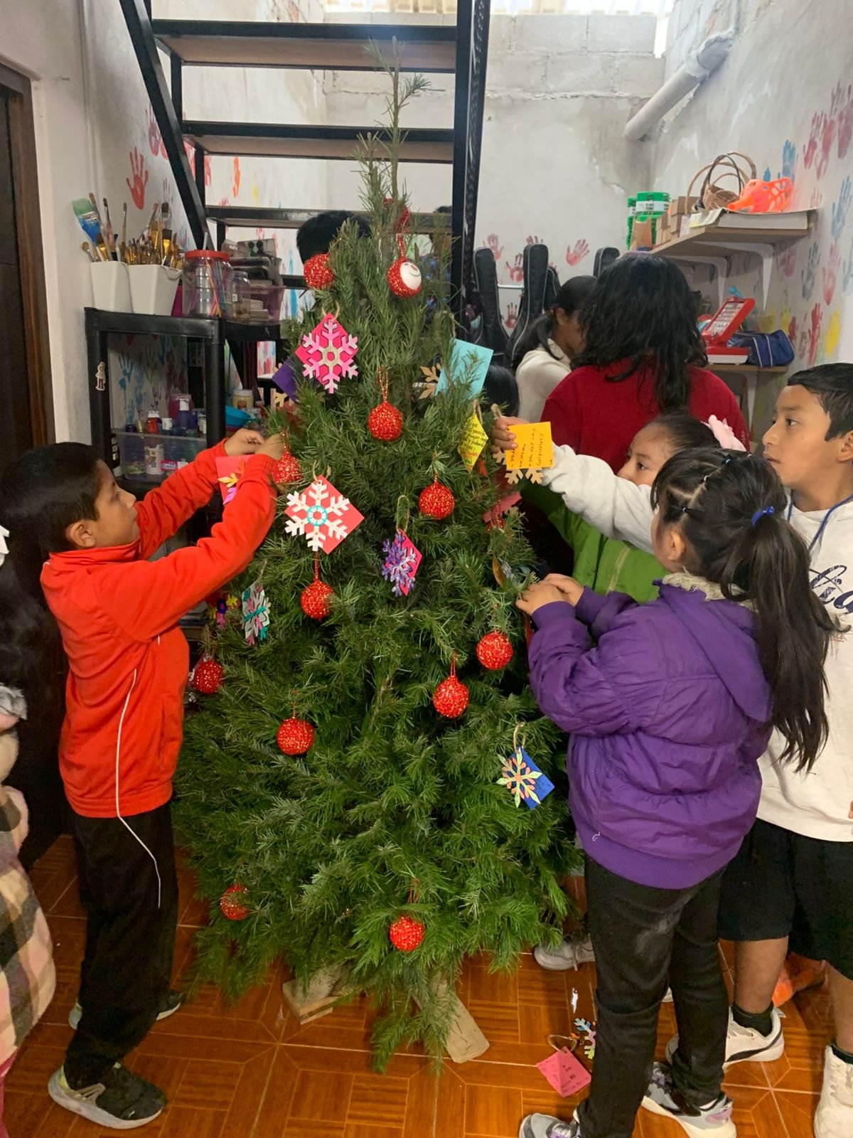 Boletín mensual Diciembre