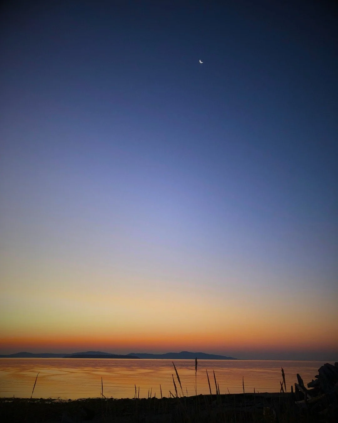 The sunrise at Island View Beach feels like medicine for the soul. As the first light spills over the water, the world gets quiet&hellip; and you can almost hear the earth breathing.

This place is alive, with soft sand, dunes, wetlands, and wild thi
