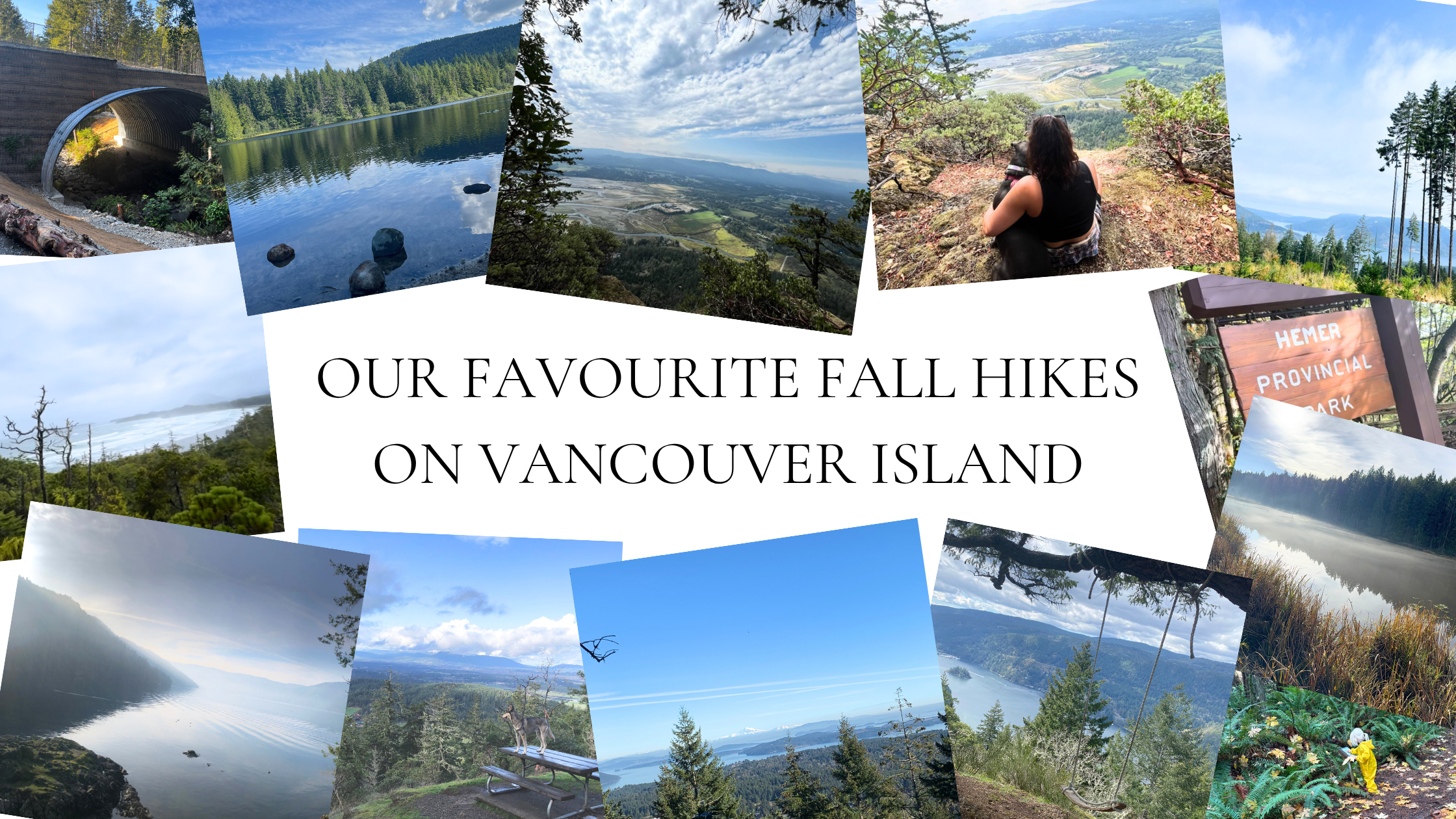 Our Favourite Fall Hikes on Vancouver Island