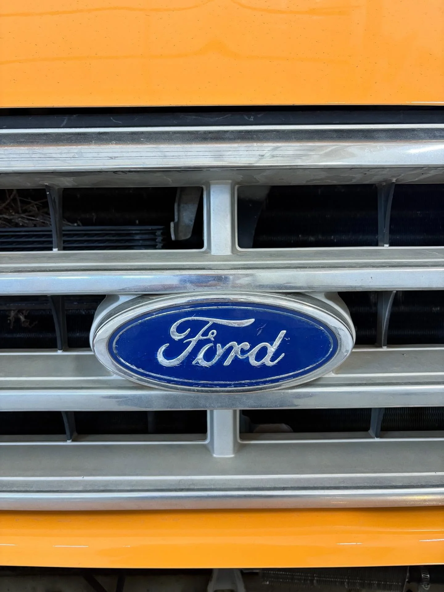 She&rsquo;s here&hellip;and she&rsquo;s orange 🟠