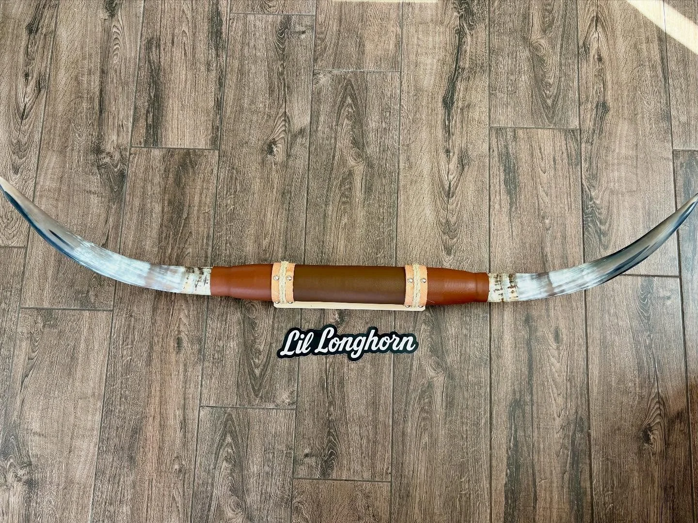 Big ole&rsquo; horn, for lil longhorn! 🤠