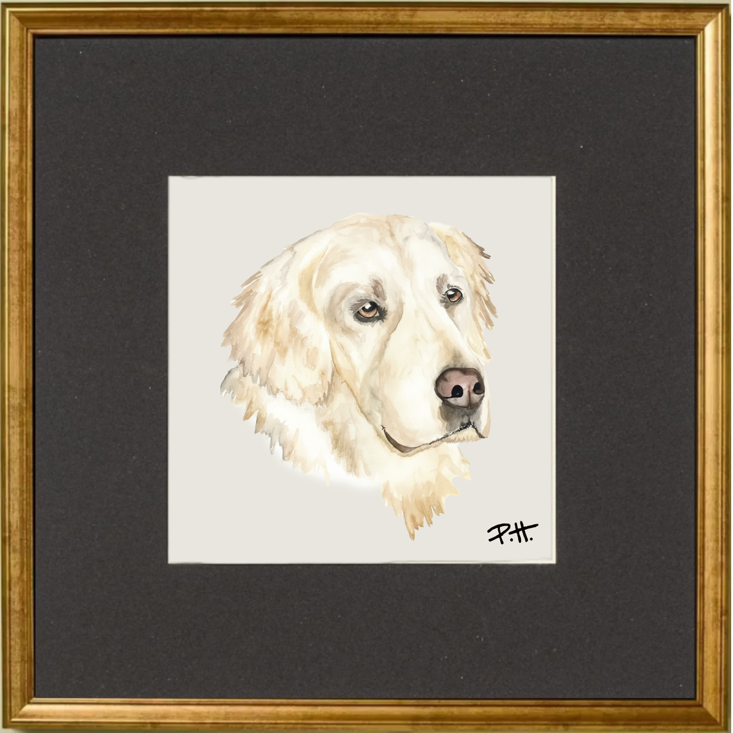 Dog_EnglishGolden.png