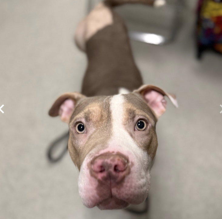 Screenshot 2026-04-09 at 9.20.24 PM.png