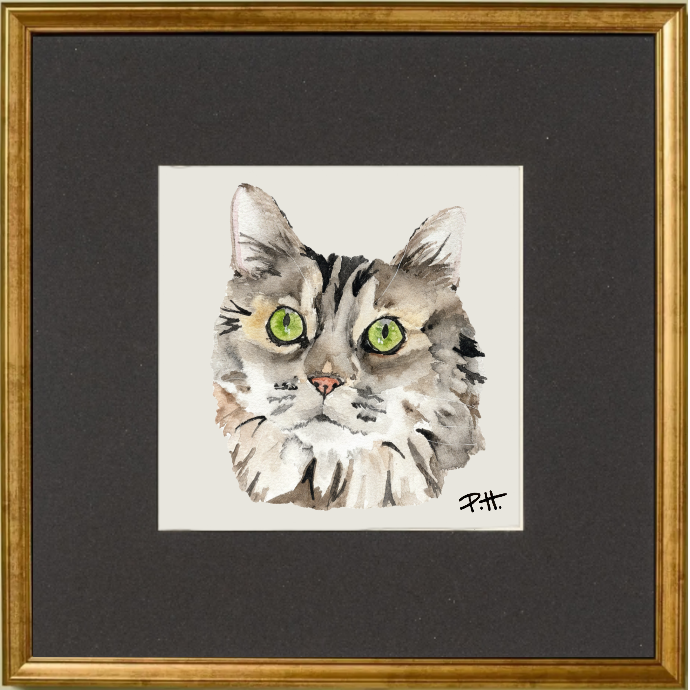 Cats