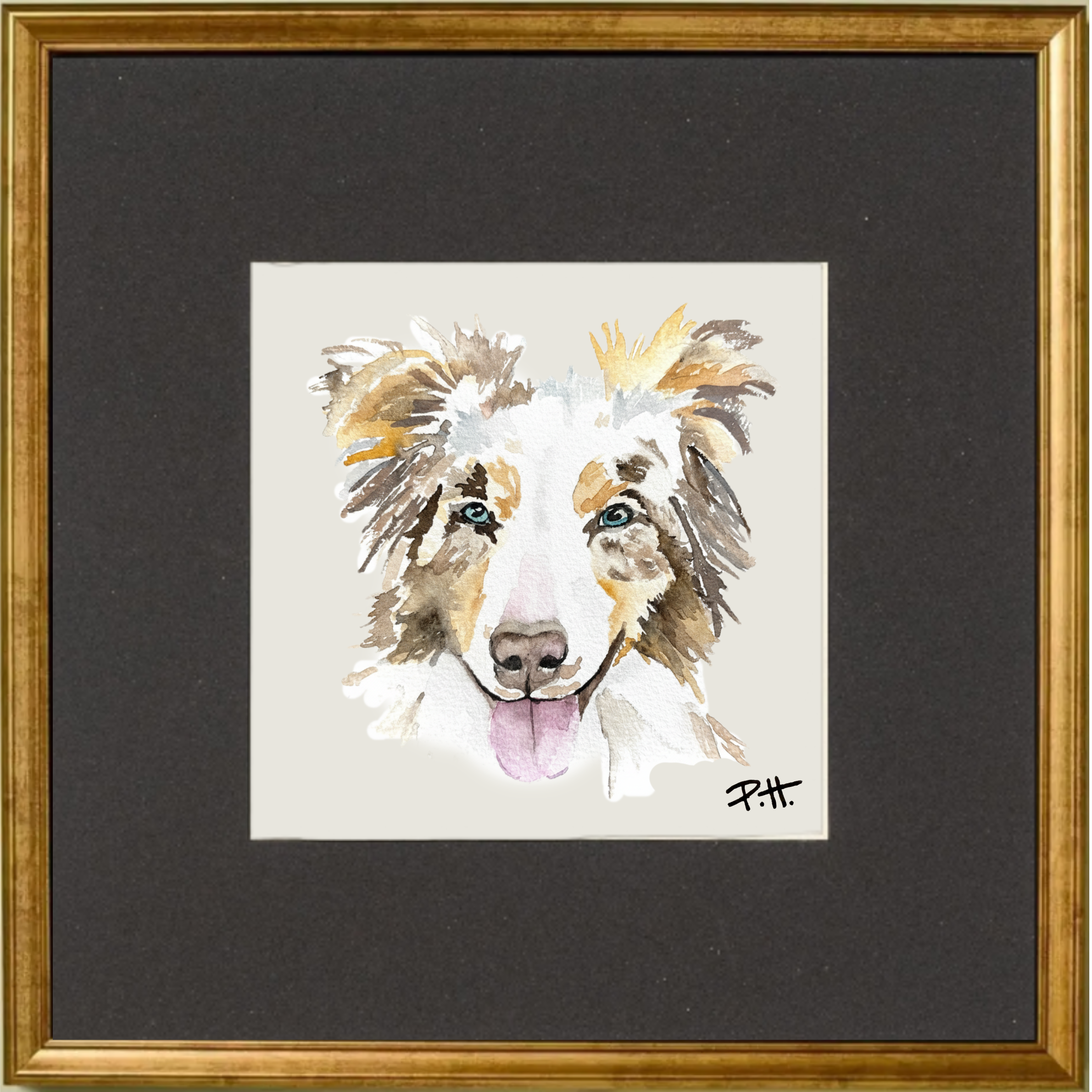Dog_AustralianShepherd.png