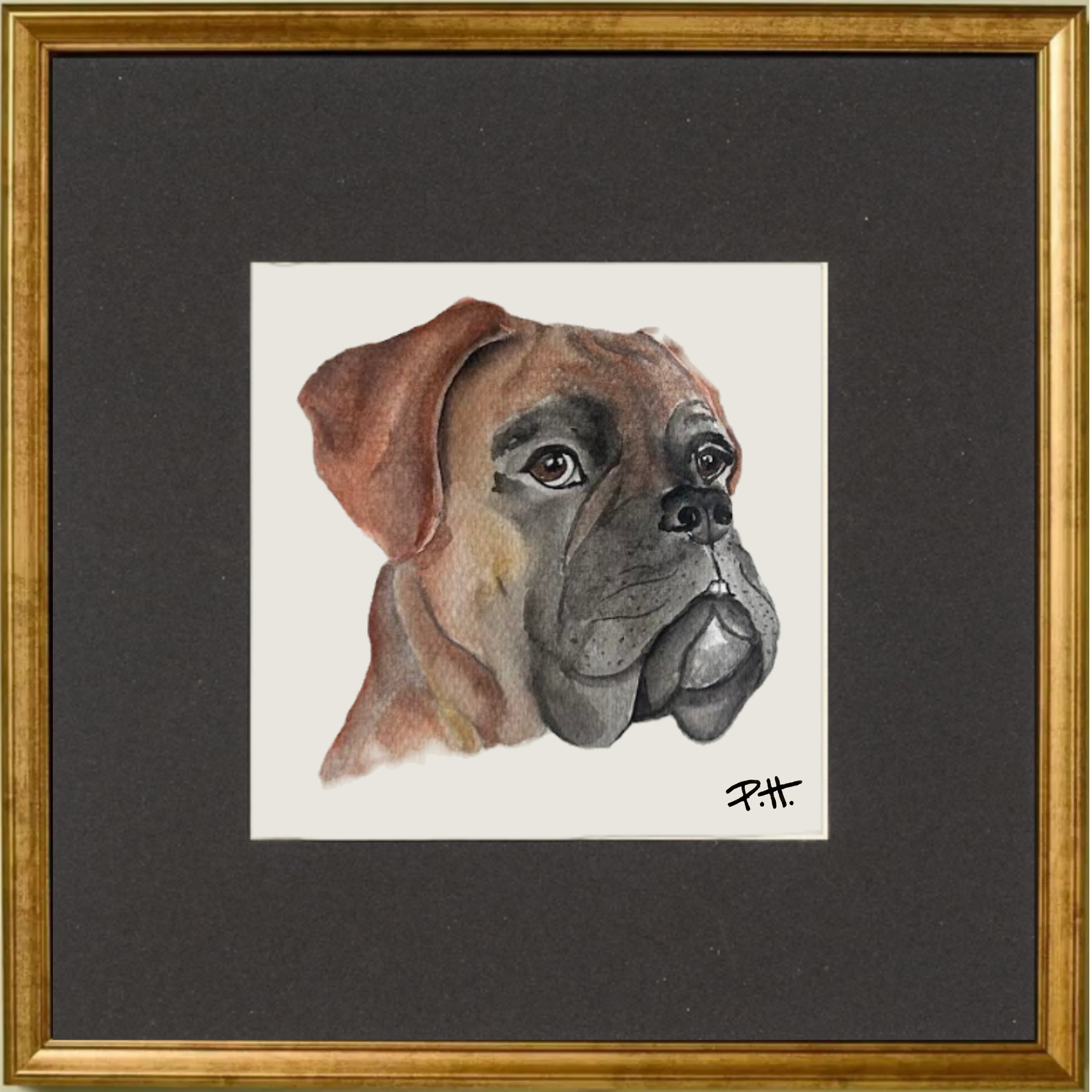 Dog_Boxer.png