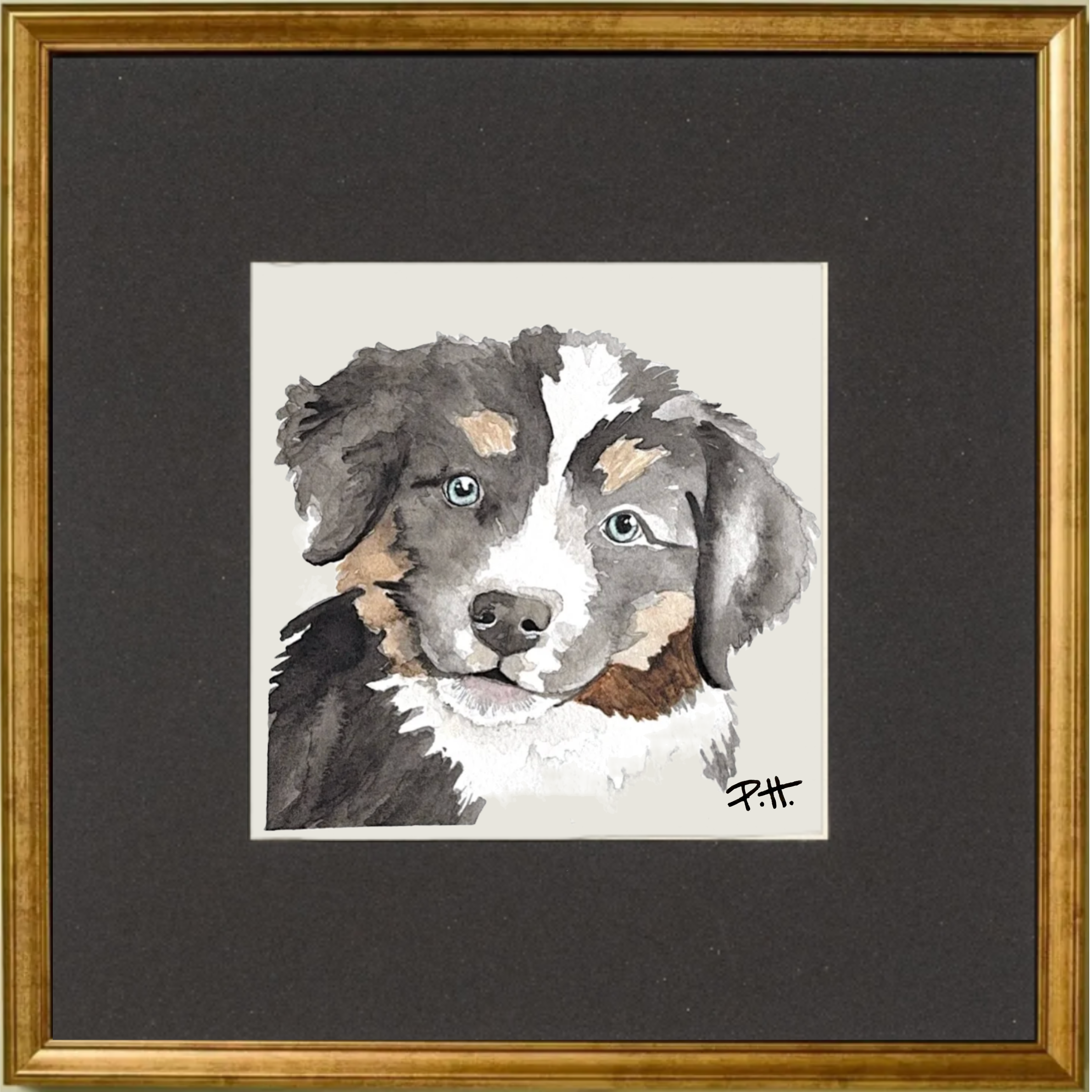 Dog_BerneseMix_Puppy.png
