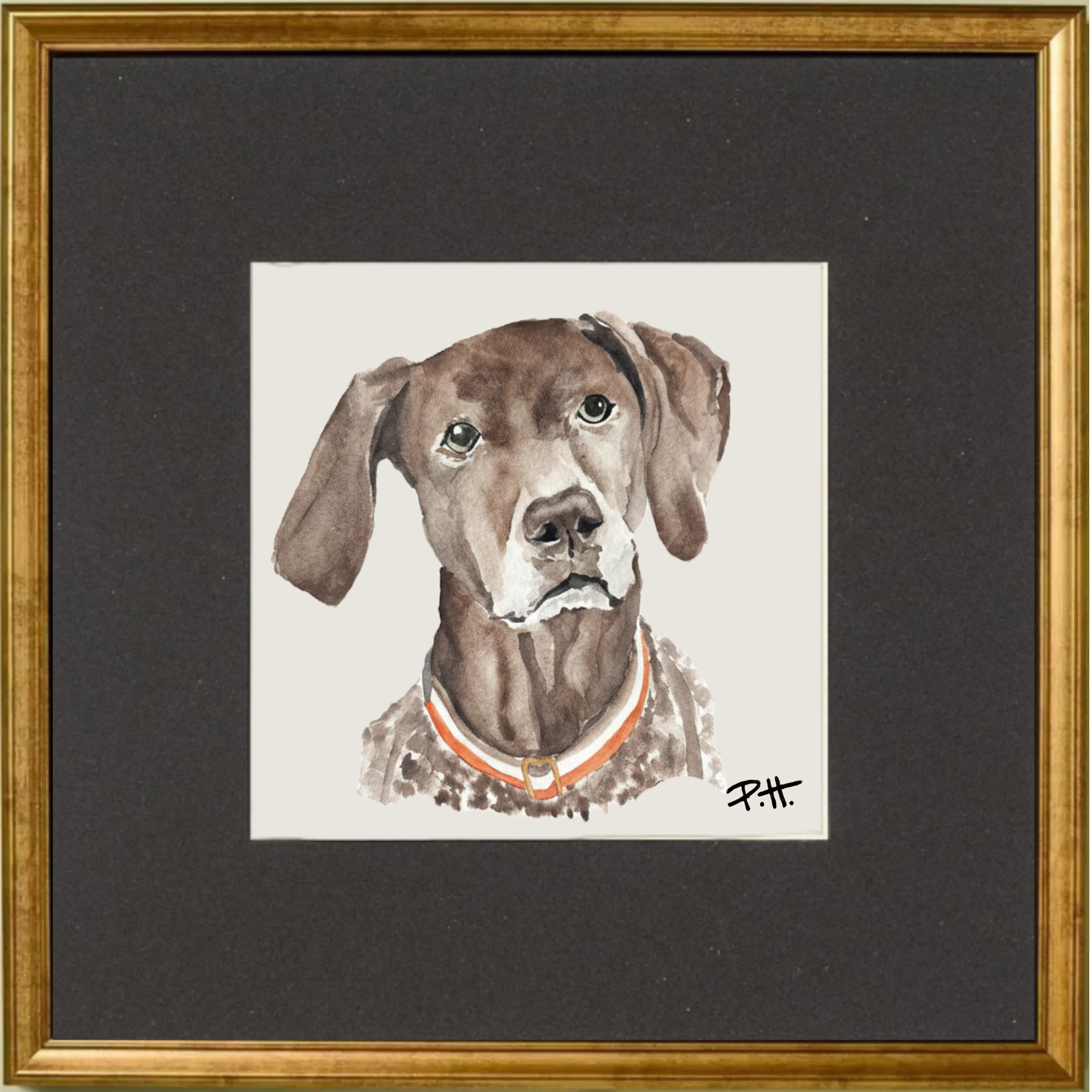 Dog_GermanShorthair.png
