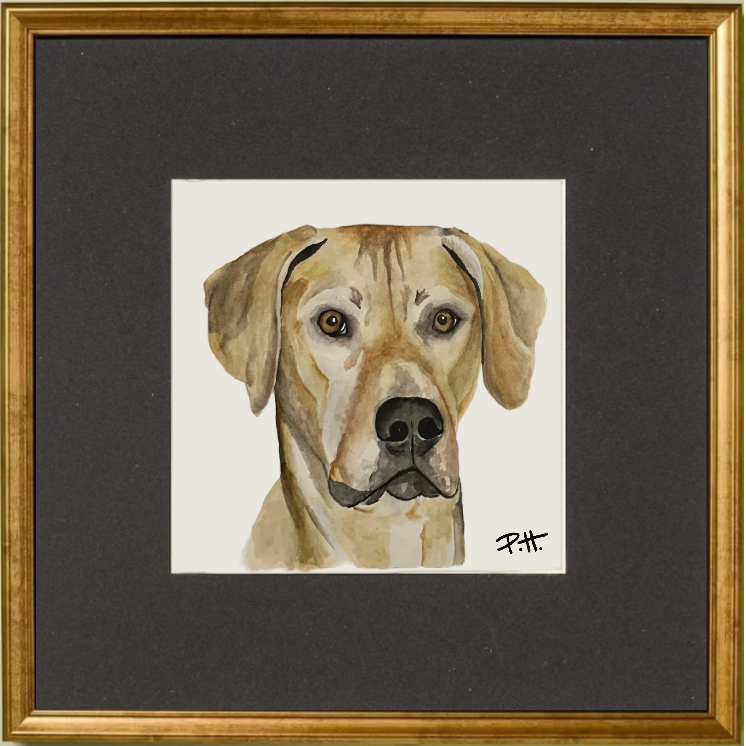 Dog_Ridgeback.png