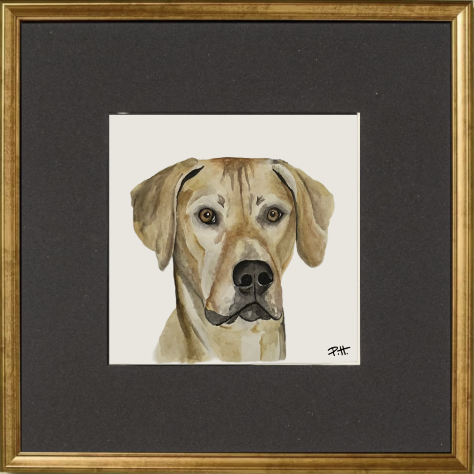 Screenshot 2026-03-30 at 9.30.51 PM.png