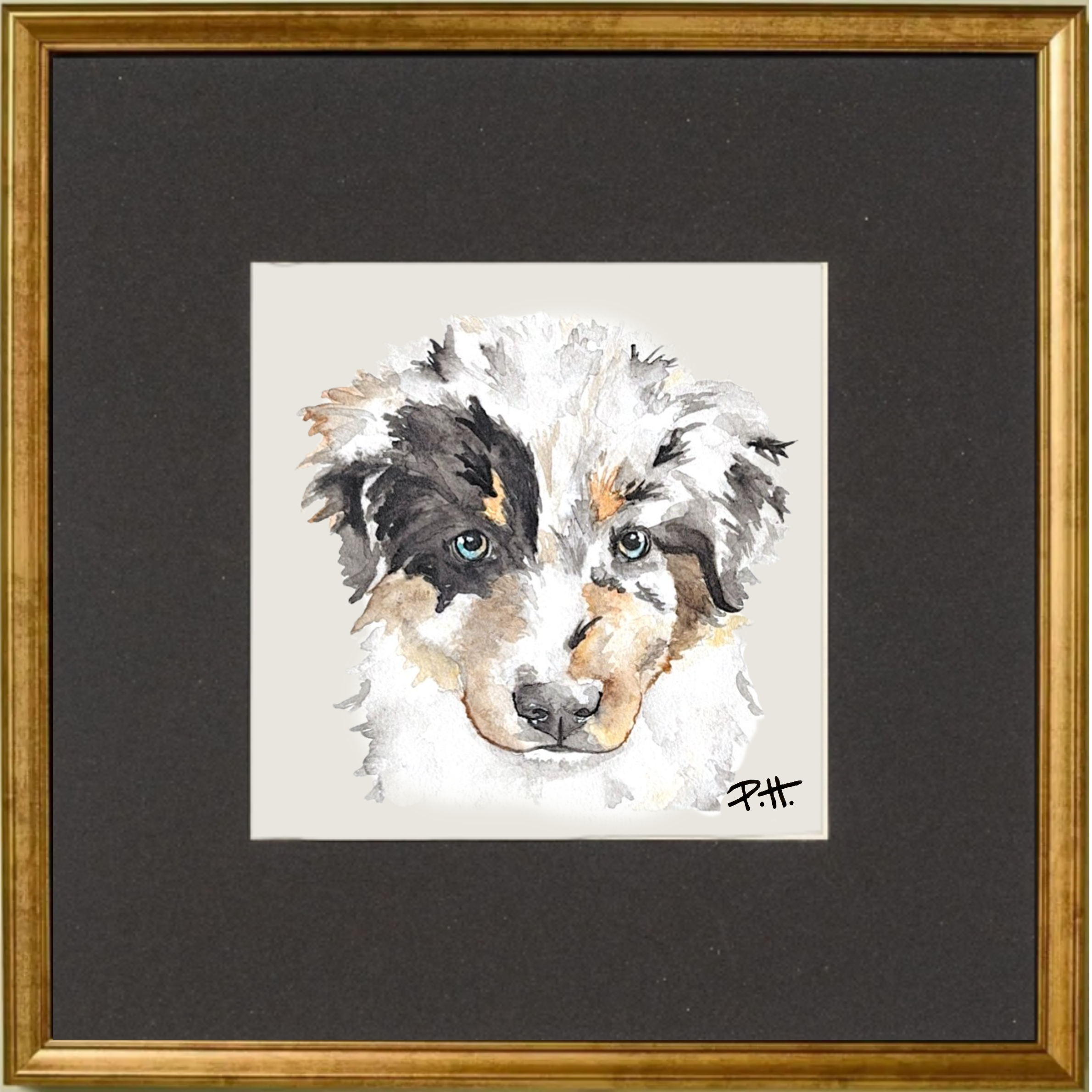Dog_AustralianShepherd_Puppy.png