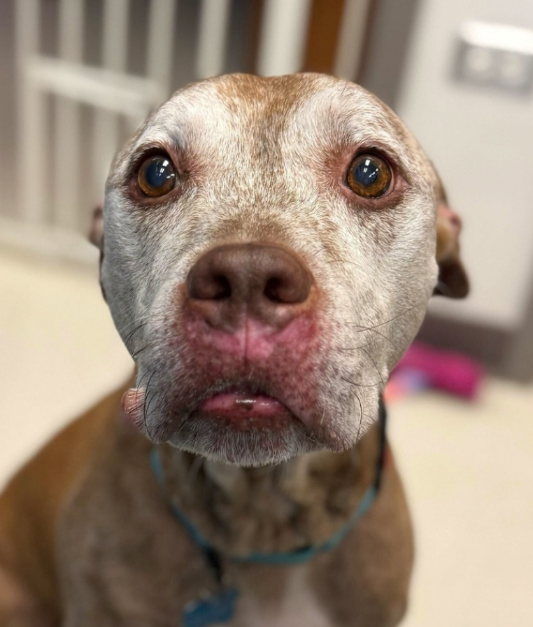 Screenshot 2026-03-28 at 1.11.24 PM.png