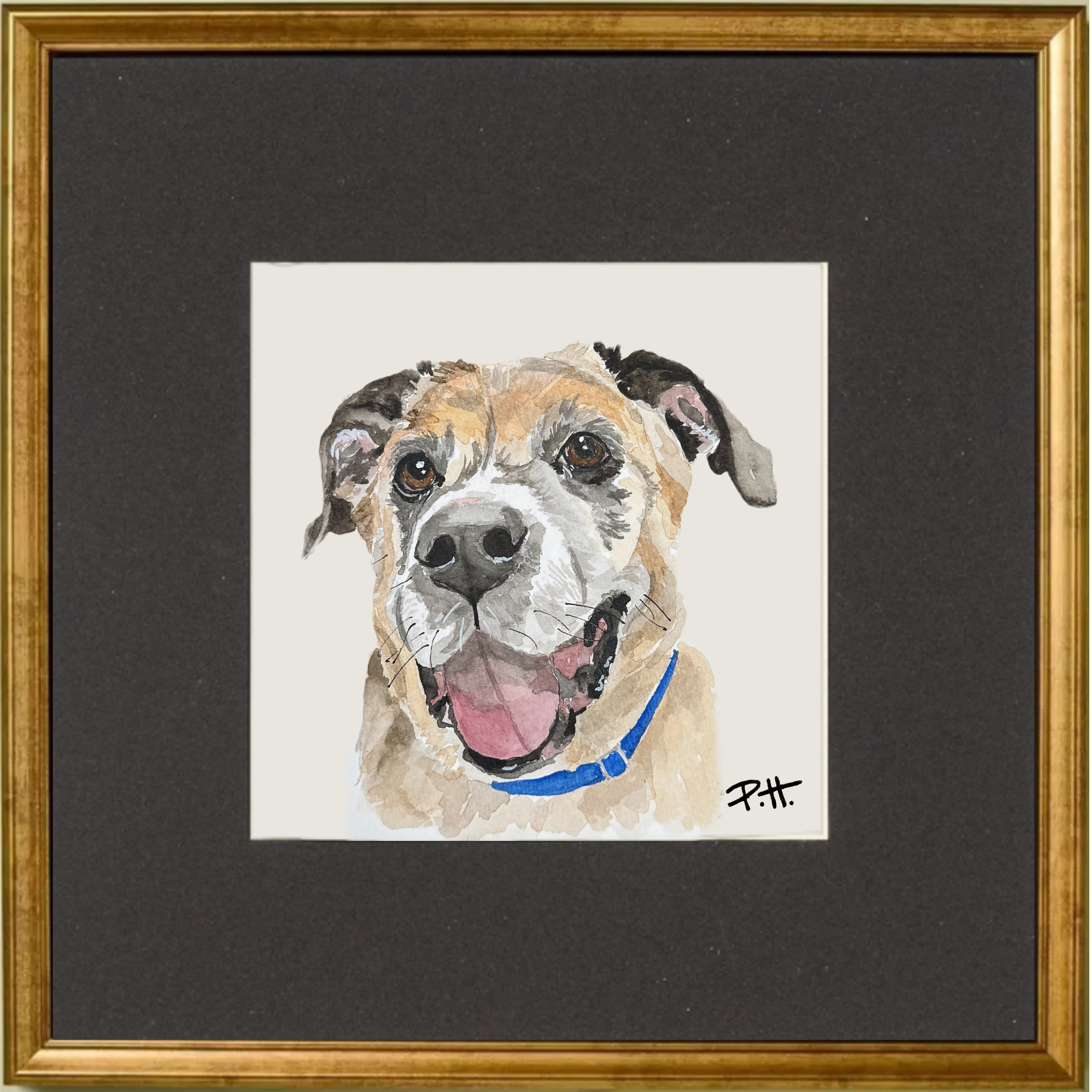 Dog_MixedBreed_Rescue.png
