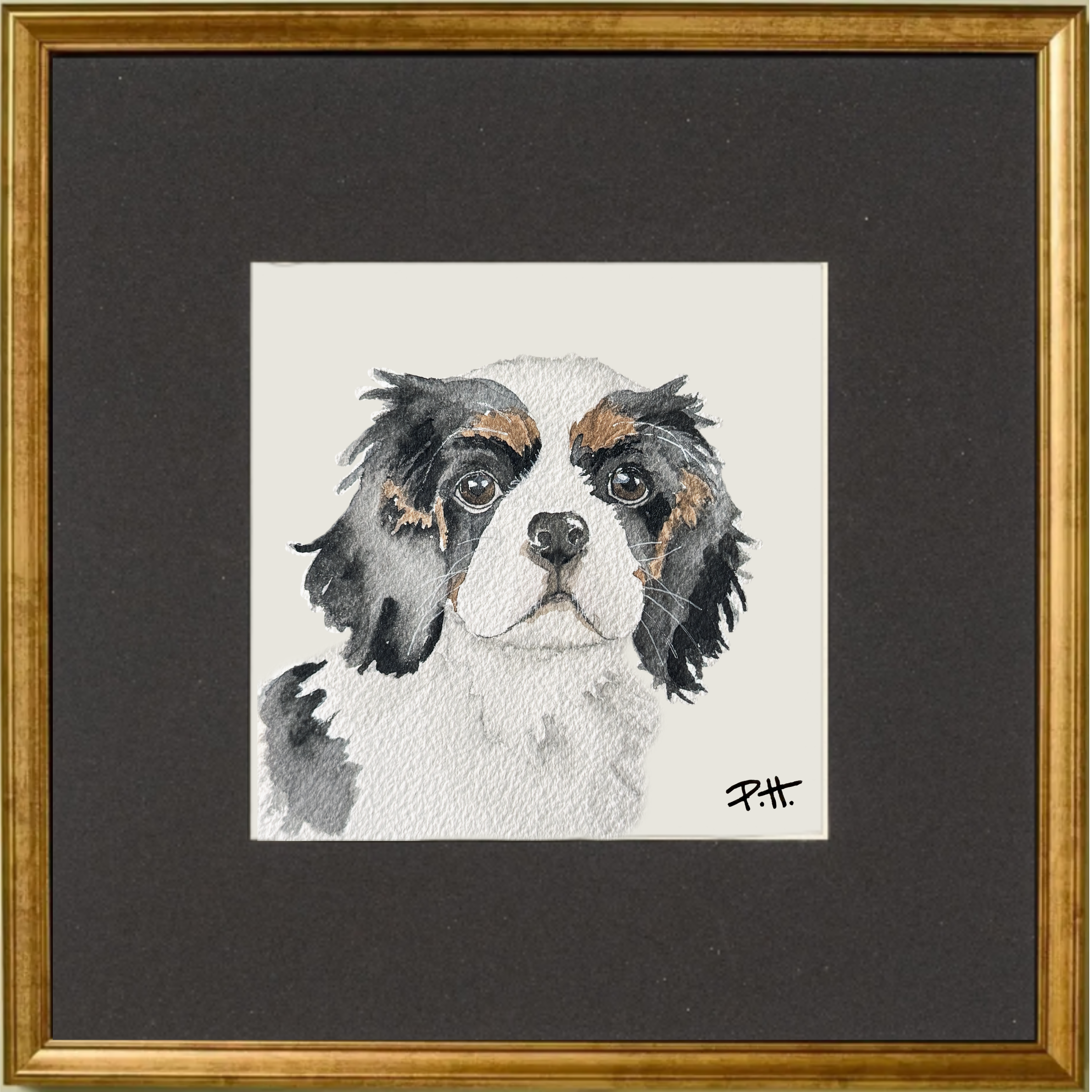 Dog_CavalierMix_Puppy.png