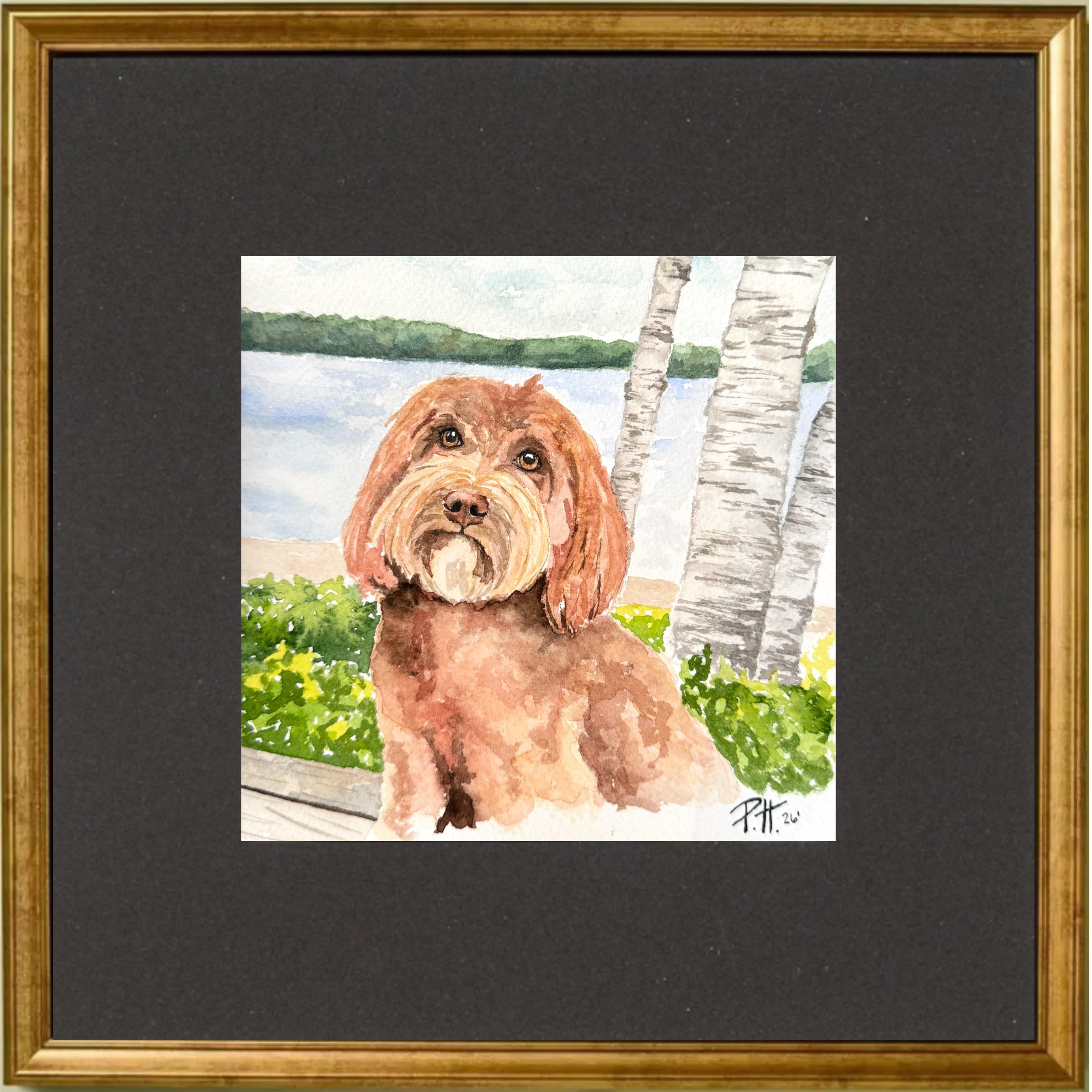 Dog_Goldendoodle_Outdoor.png