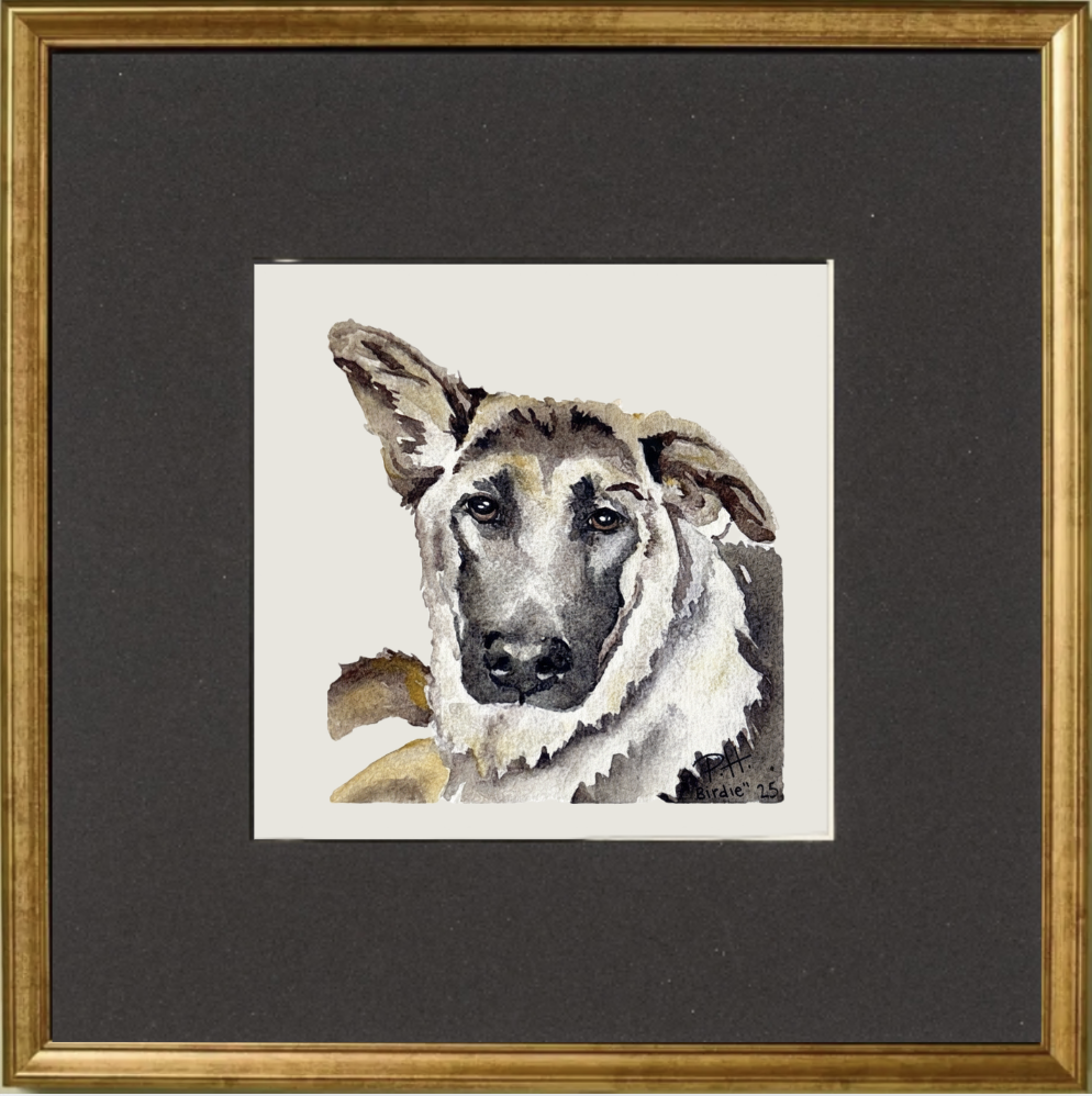 Screenshot 2026-03-22 at 8.38.11 PM.png