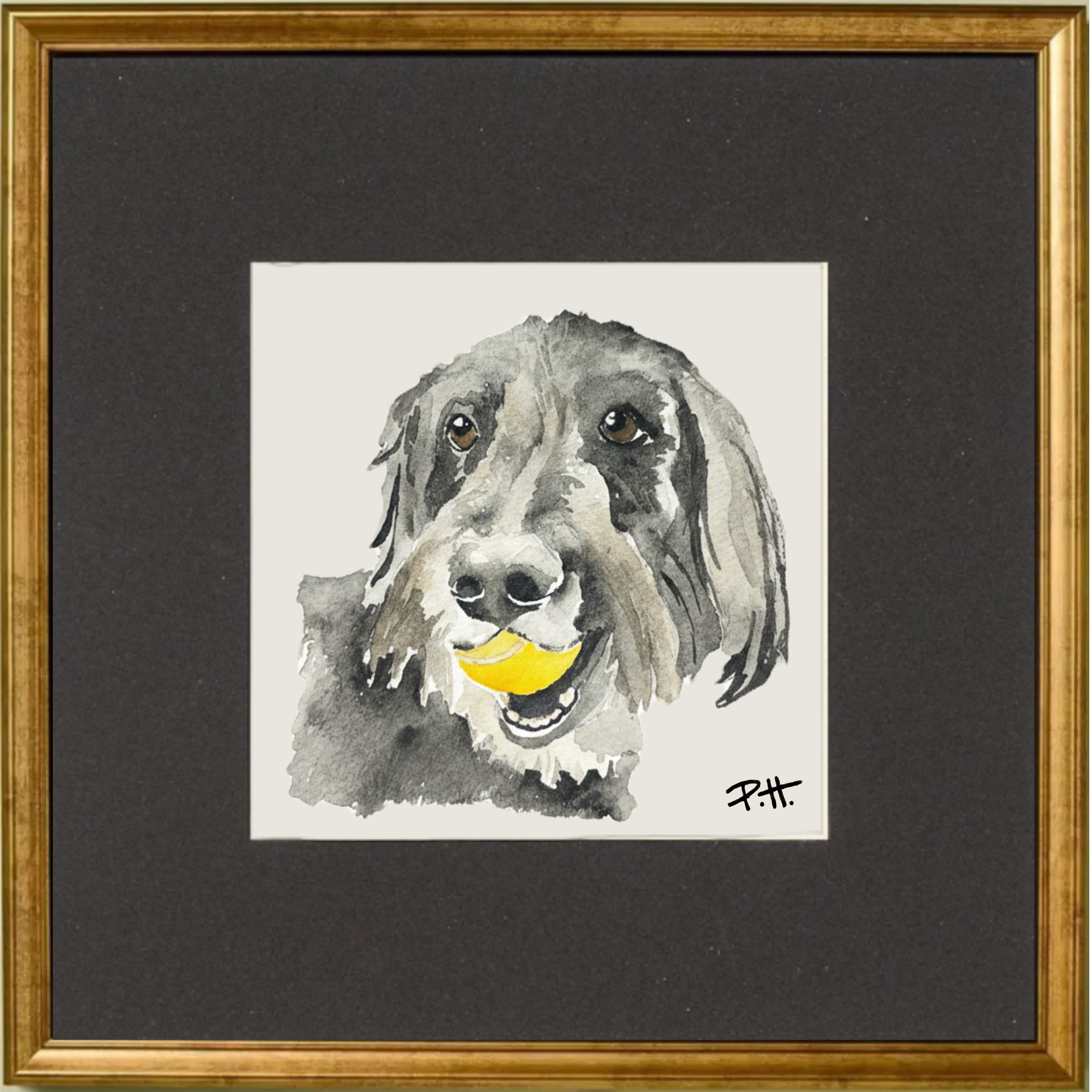Dog_Doodle_ShaggyGray_YellowBall.png