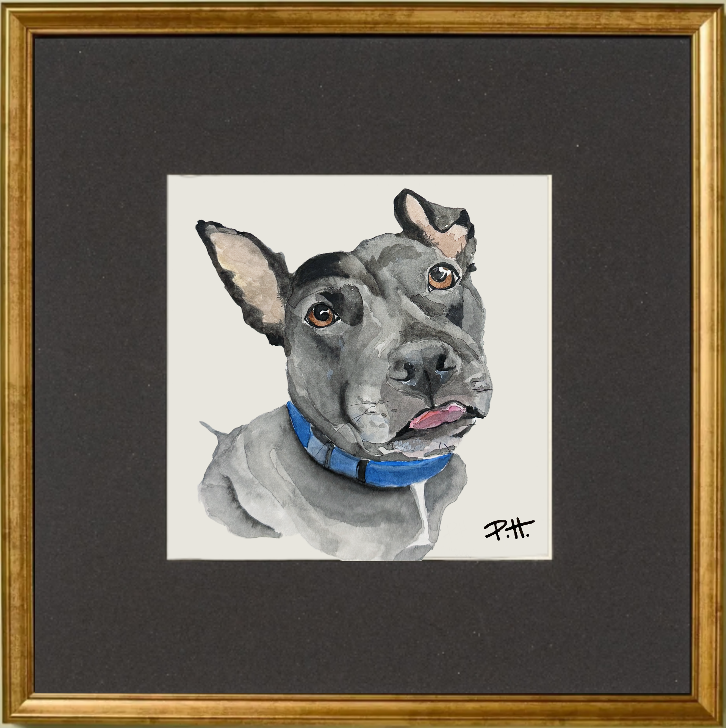 Dog_PitMix_Rescue.png