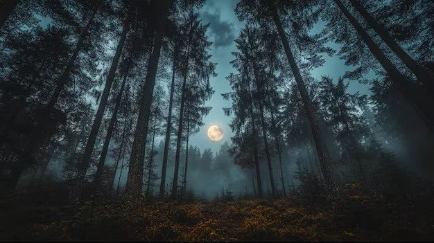 Full Moon Shinrin-Yoku (Forest Bathing)in South Lake Tahoe, CA