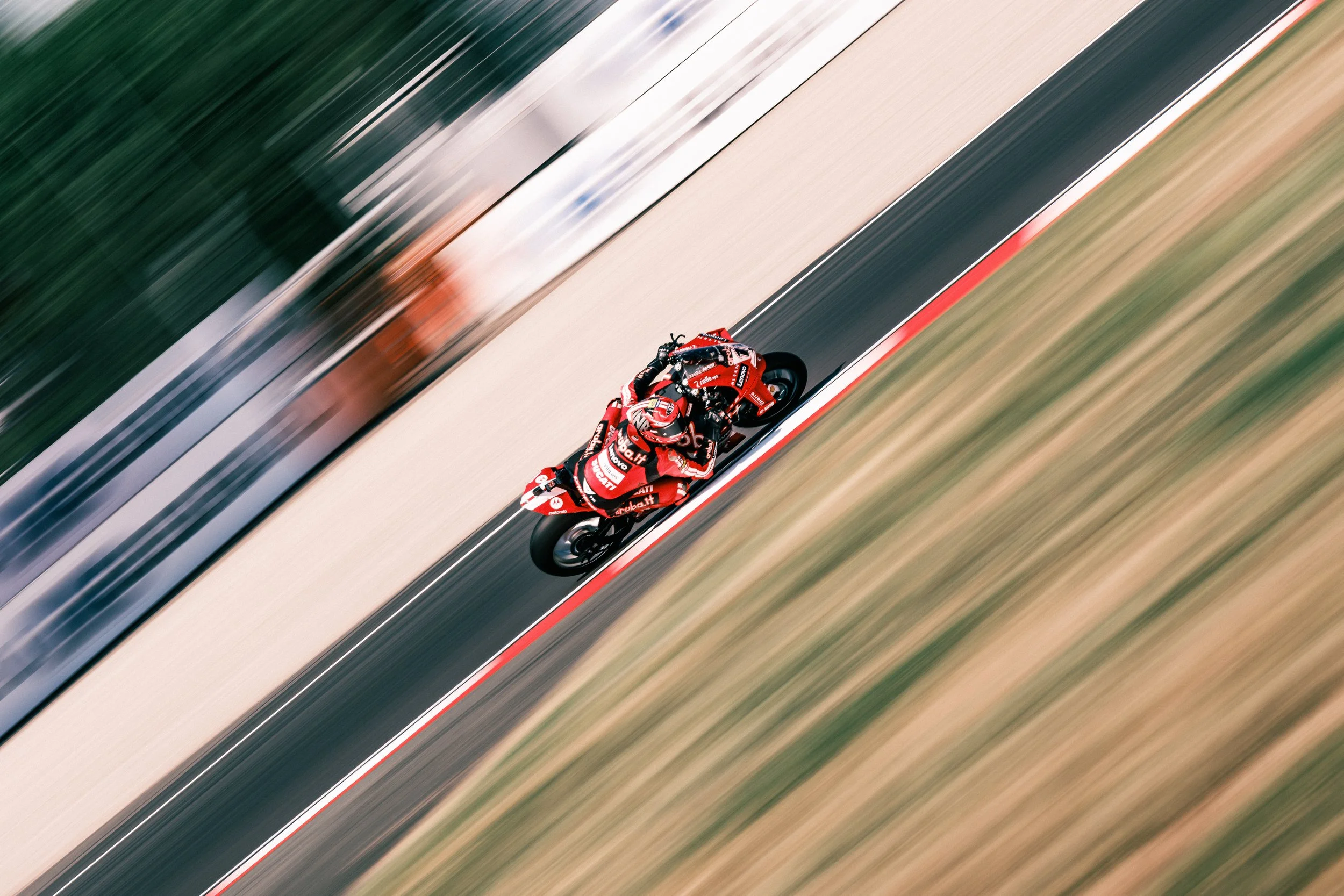 DSCF1219-1.jpg