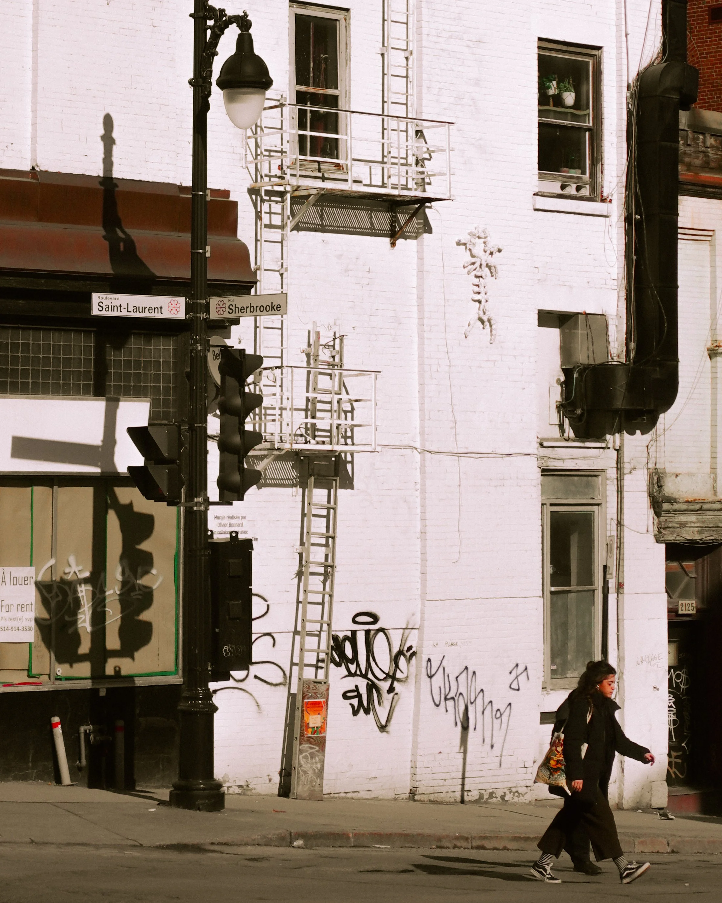 DSC01504.JPG