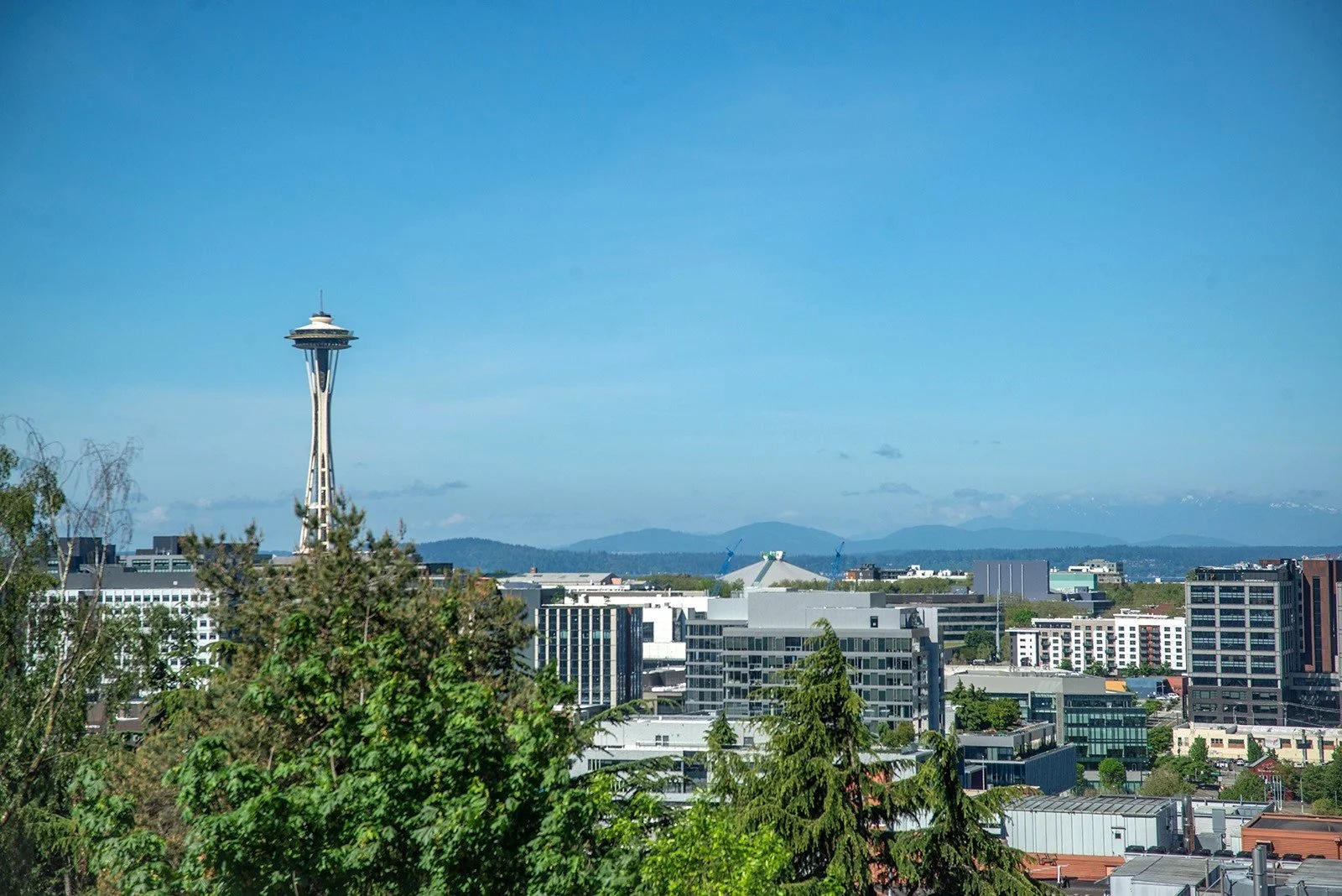 745 Bellevue Ave E Unit #109, Seattle, WA 98102 2.jpeg