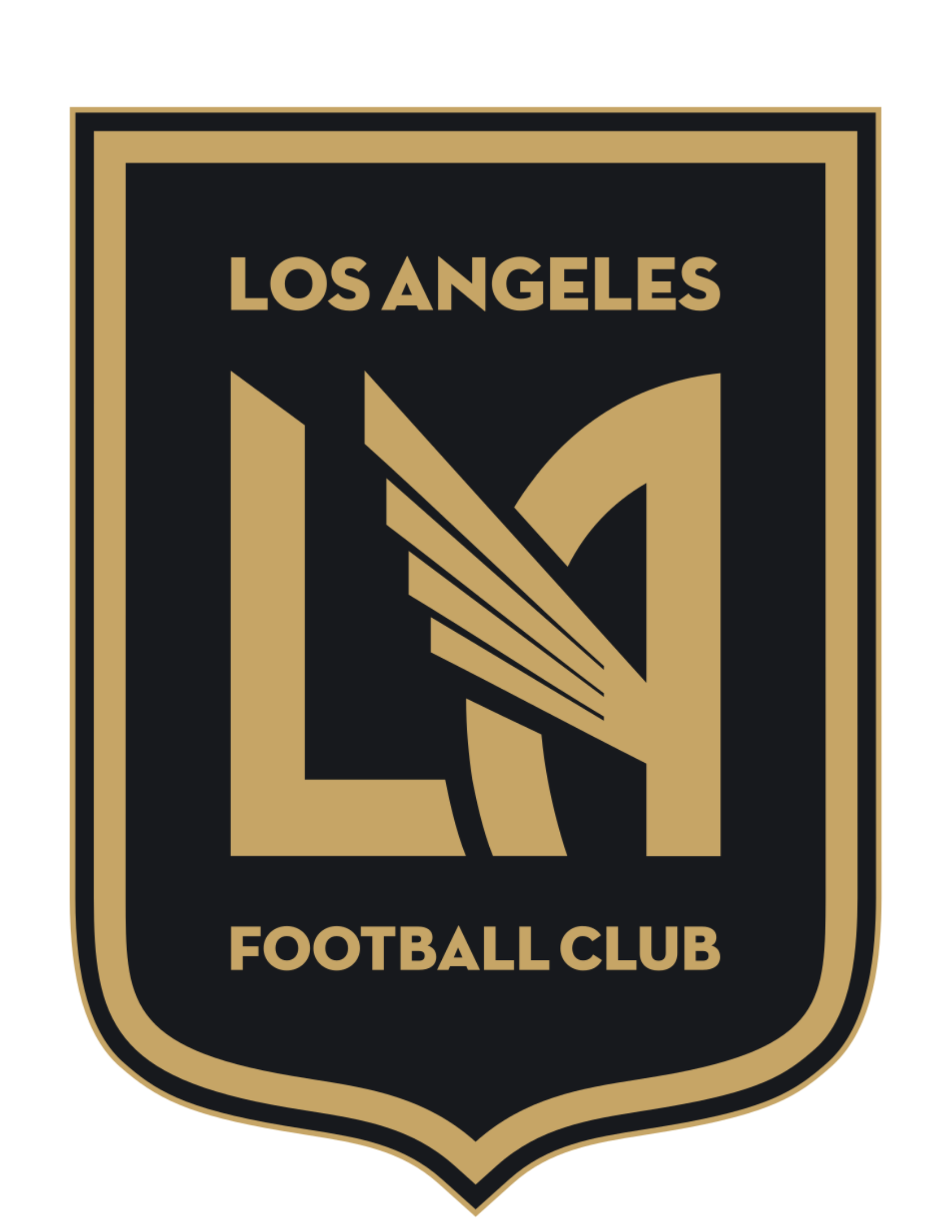 LSFC (1).png