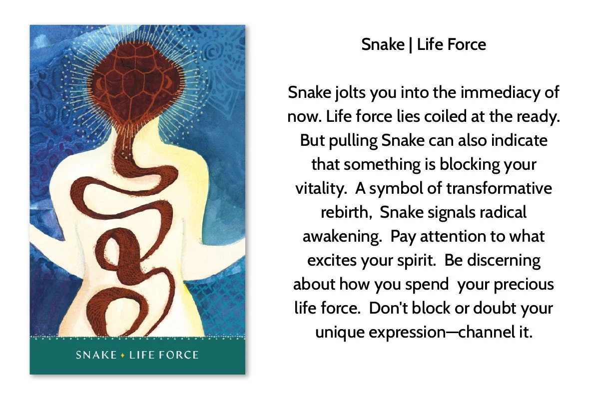 Illustration of a woman with a snake coiled along her torso and head, set against a blue background, with an accompanying message about snake symbolism in spiritual awakening.