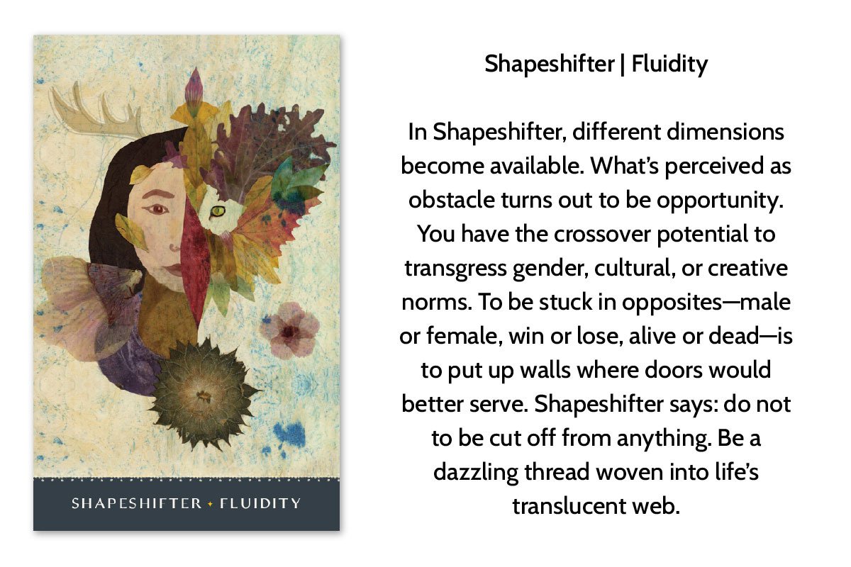 Artwork of a woman's face surrounded by collaged leaves, flowers, and natural elements, with the text "Shapeshifter | Fluidity" and a description about gender and cultural norms.