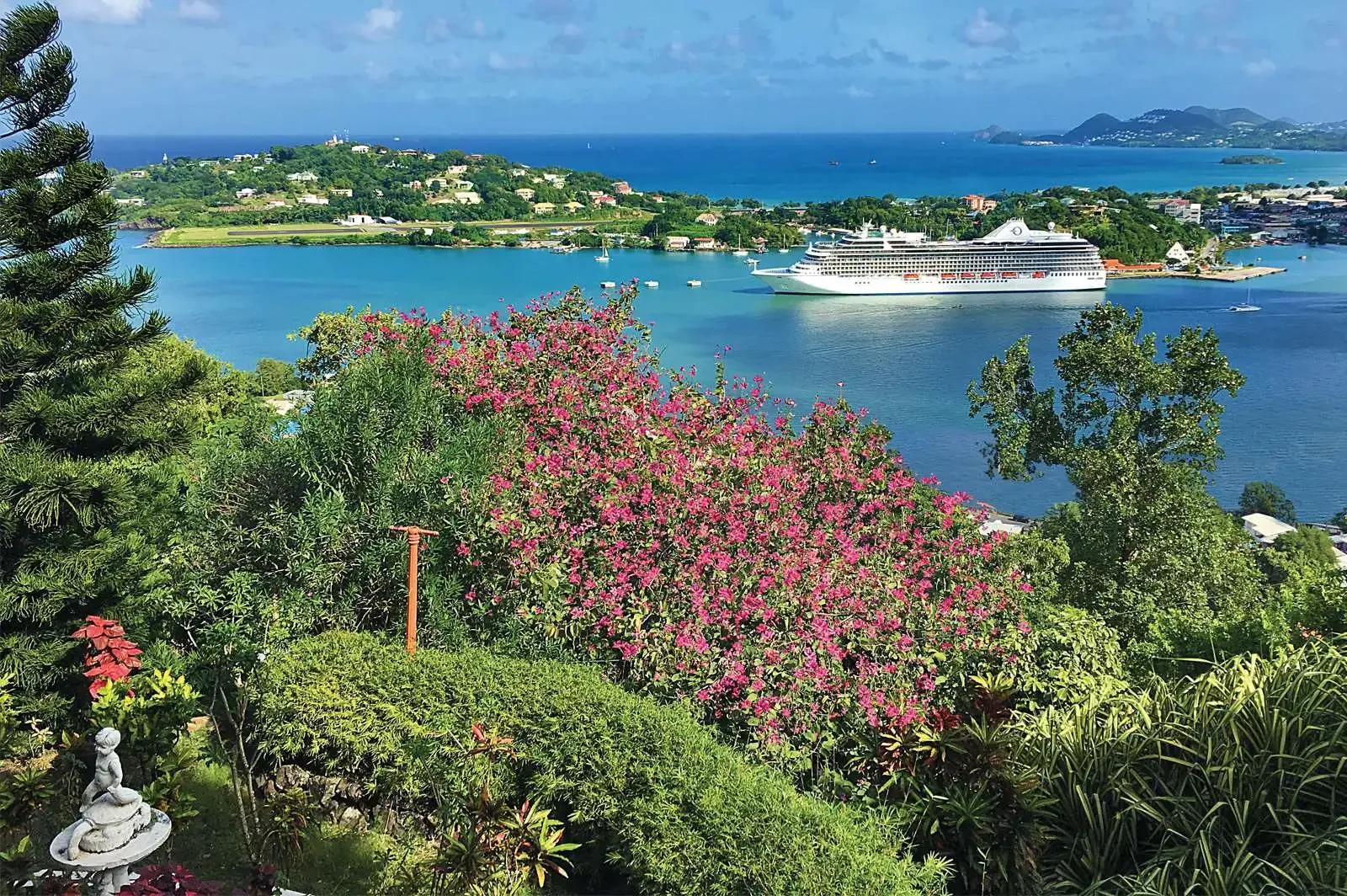 Cruise flowers and island.webp