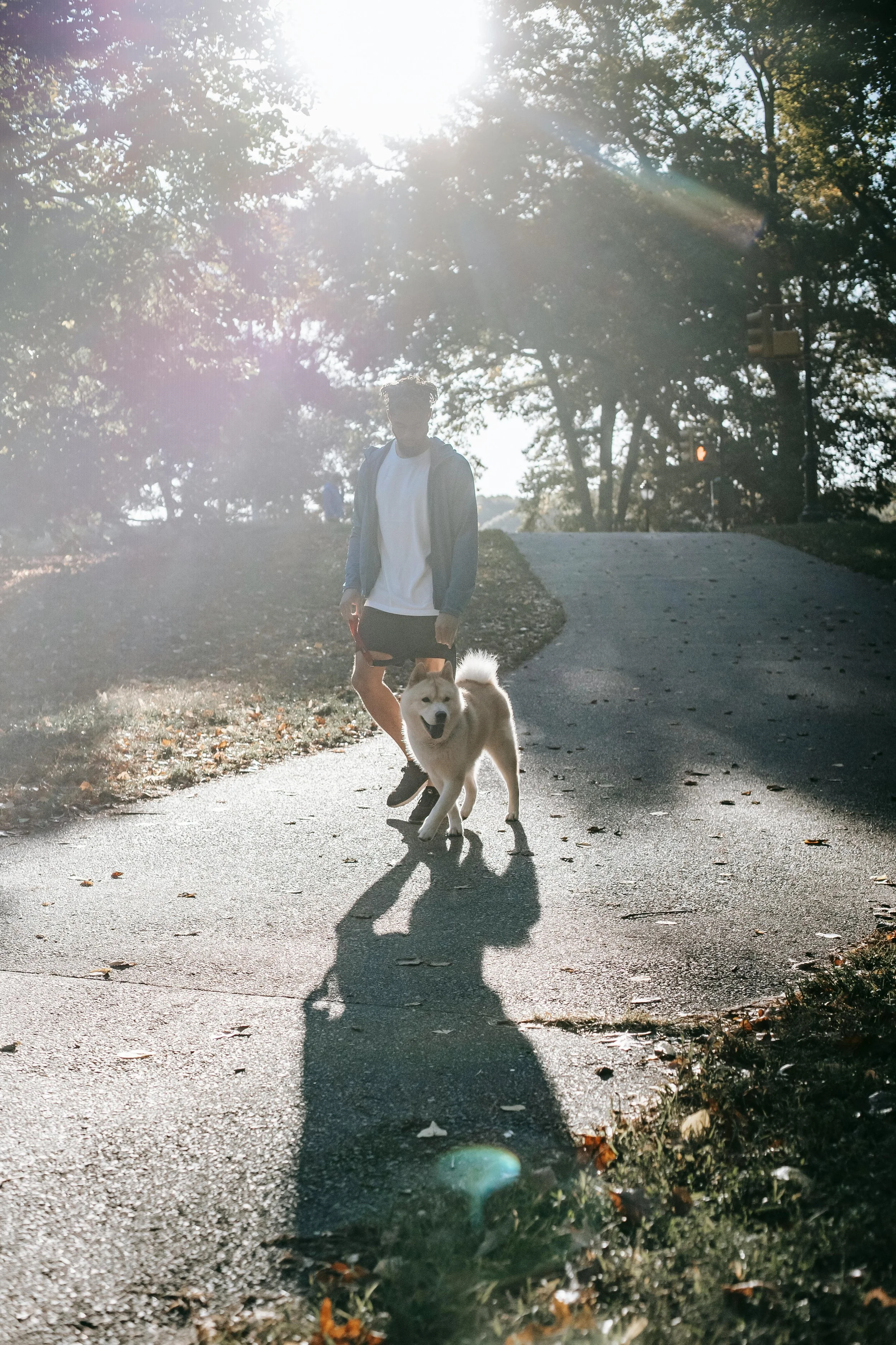 A person walking a dog on a leash along a park pathway with sunlight filtering through trees.