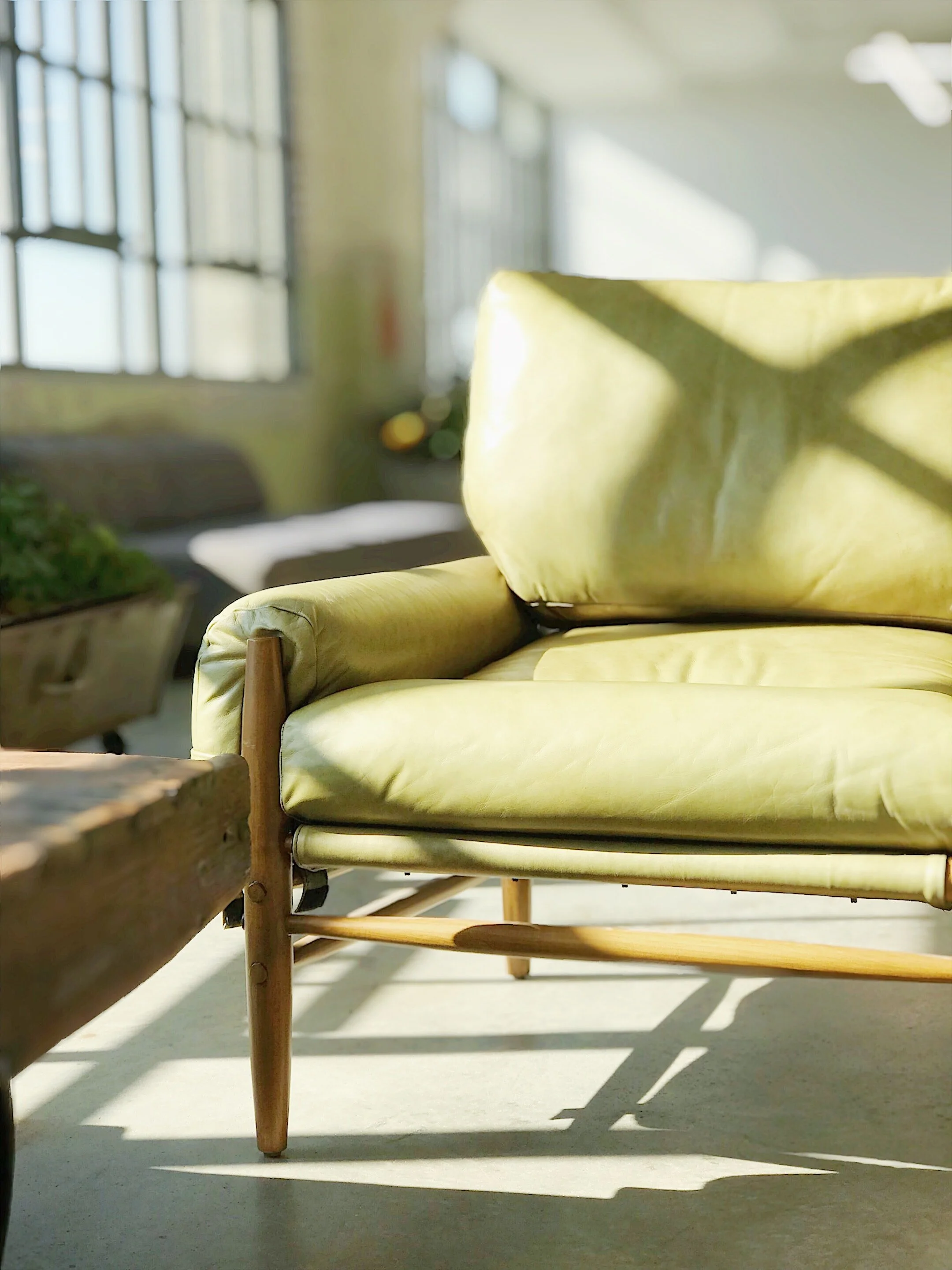 A green modern sofa with wooden legs in a sunlit room, shadow of a plant on the cushion, with large windows in background.