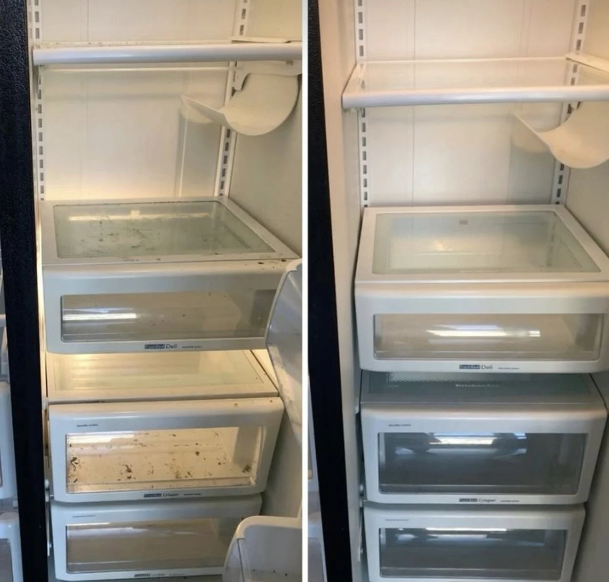 Fridge Clean