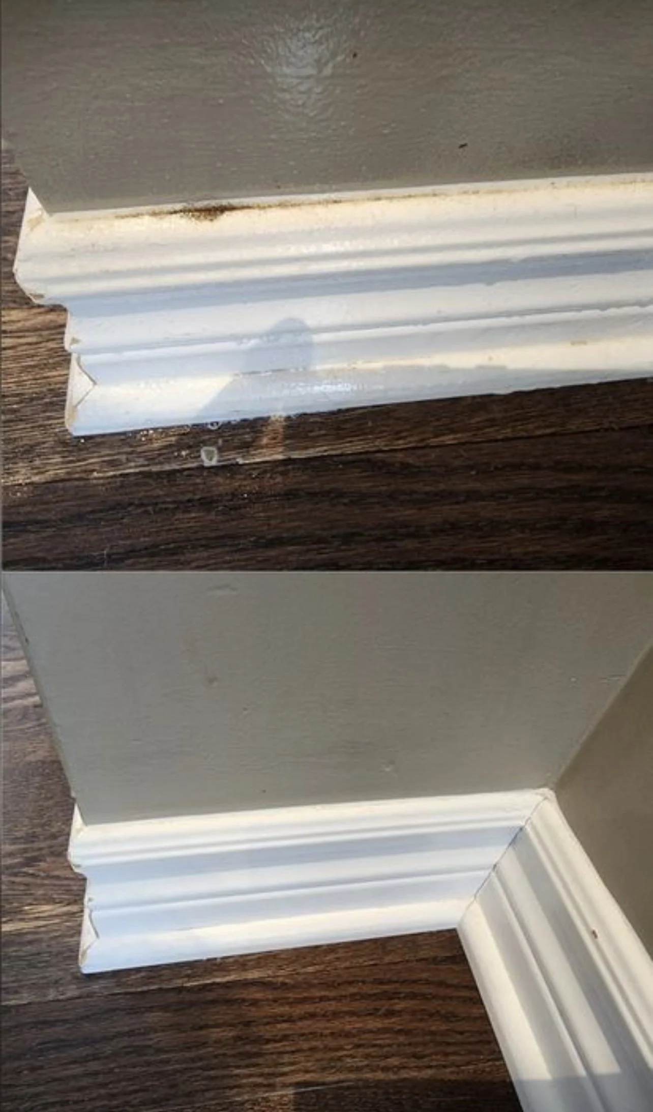 Every Detail Counts