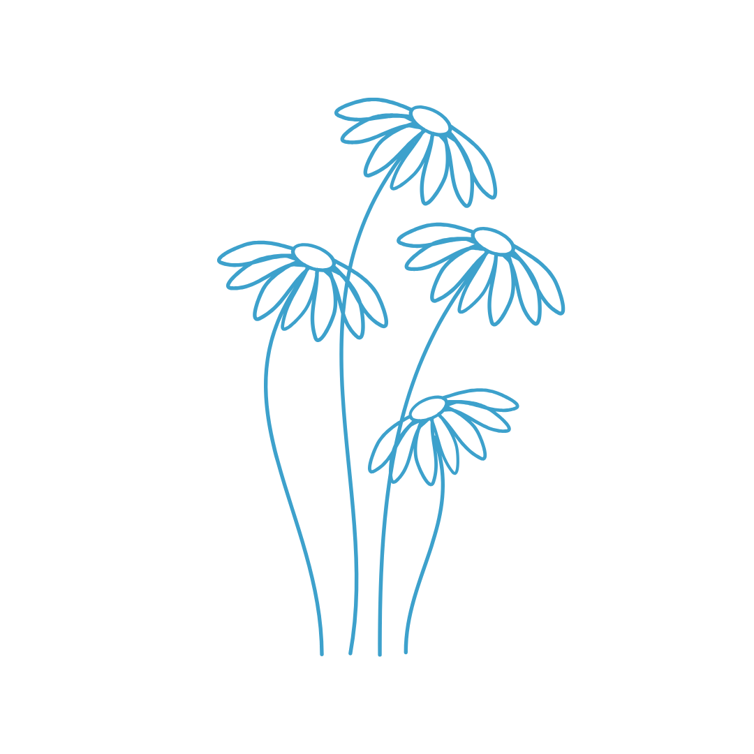 Illustration von vier stilisierten Blumen – eingesetzt als visuelles Element für Haltung, Inhalte und pädagogische Werte