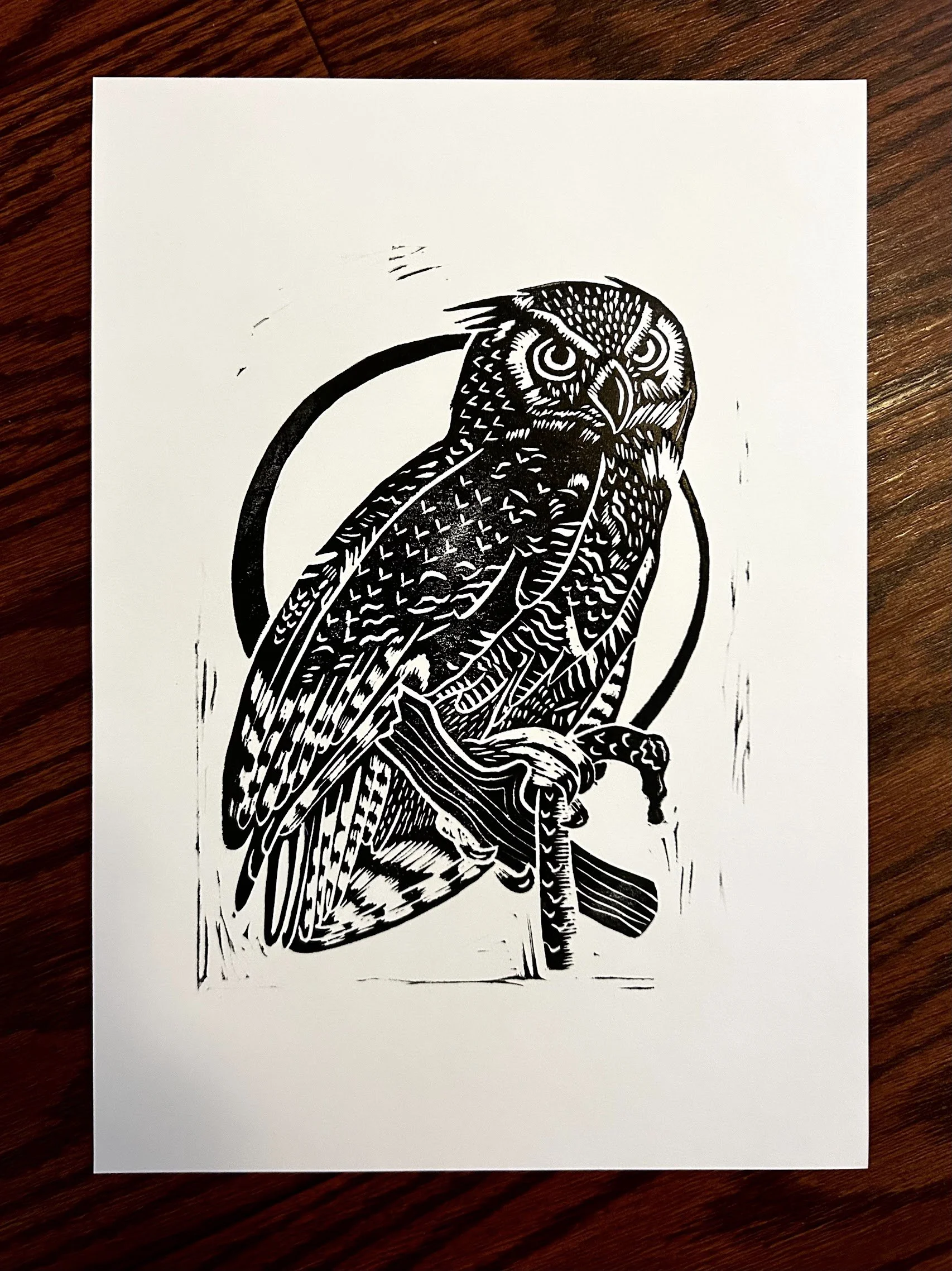 great horned owl print