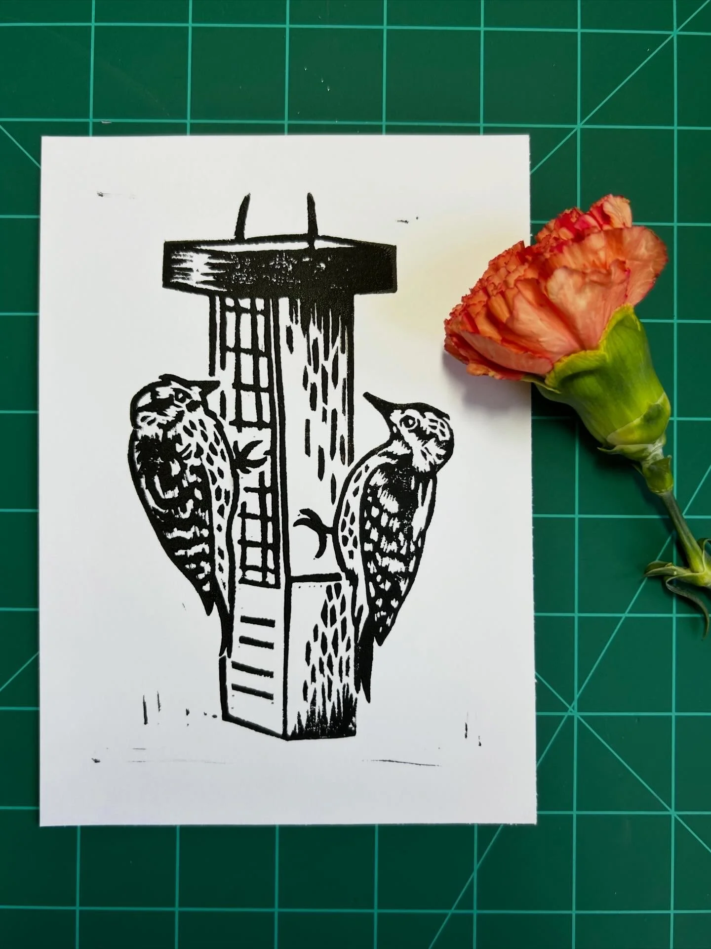 "love birds" downy woodpeckers