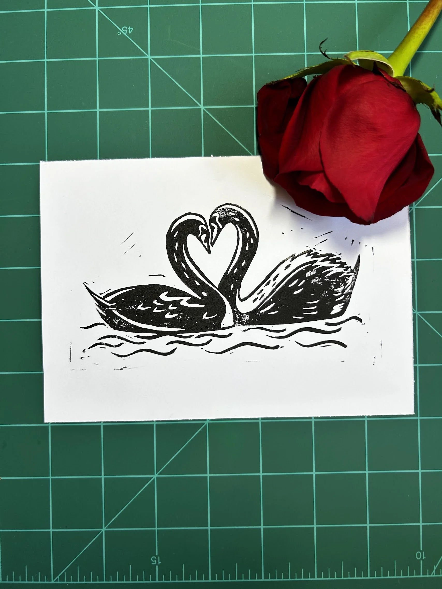 swan love birds print