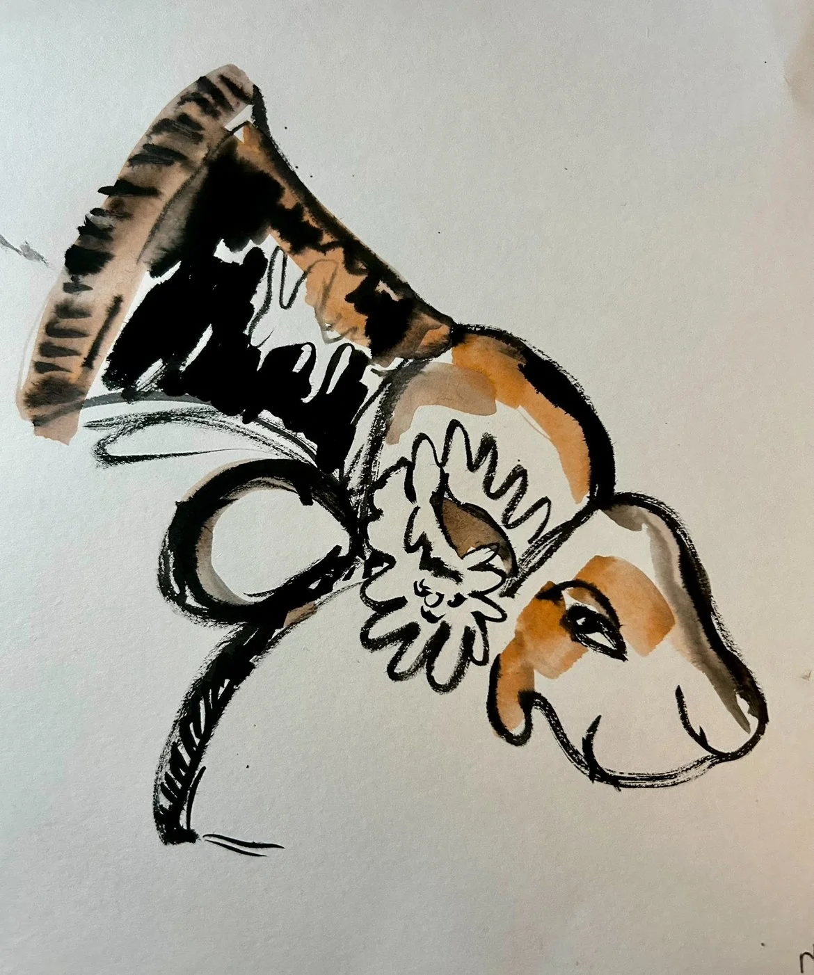 IMG_7786.jpg