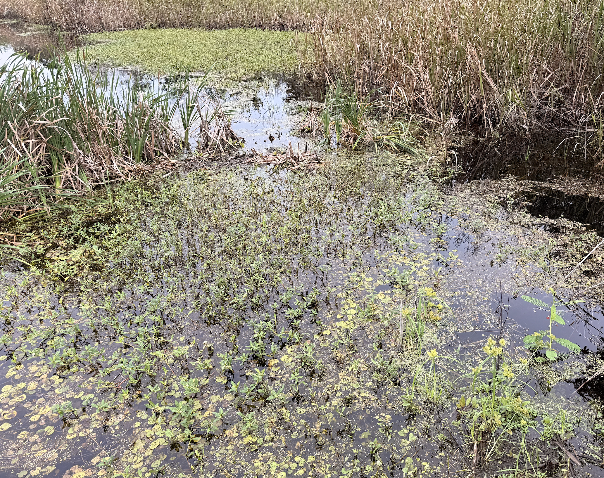 Screenshot 2025-10-15 at 1.01.36 AM.png