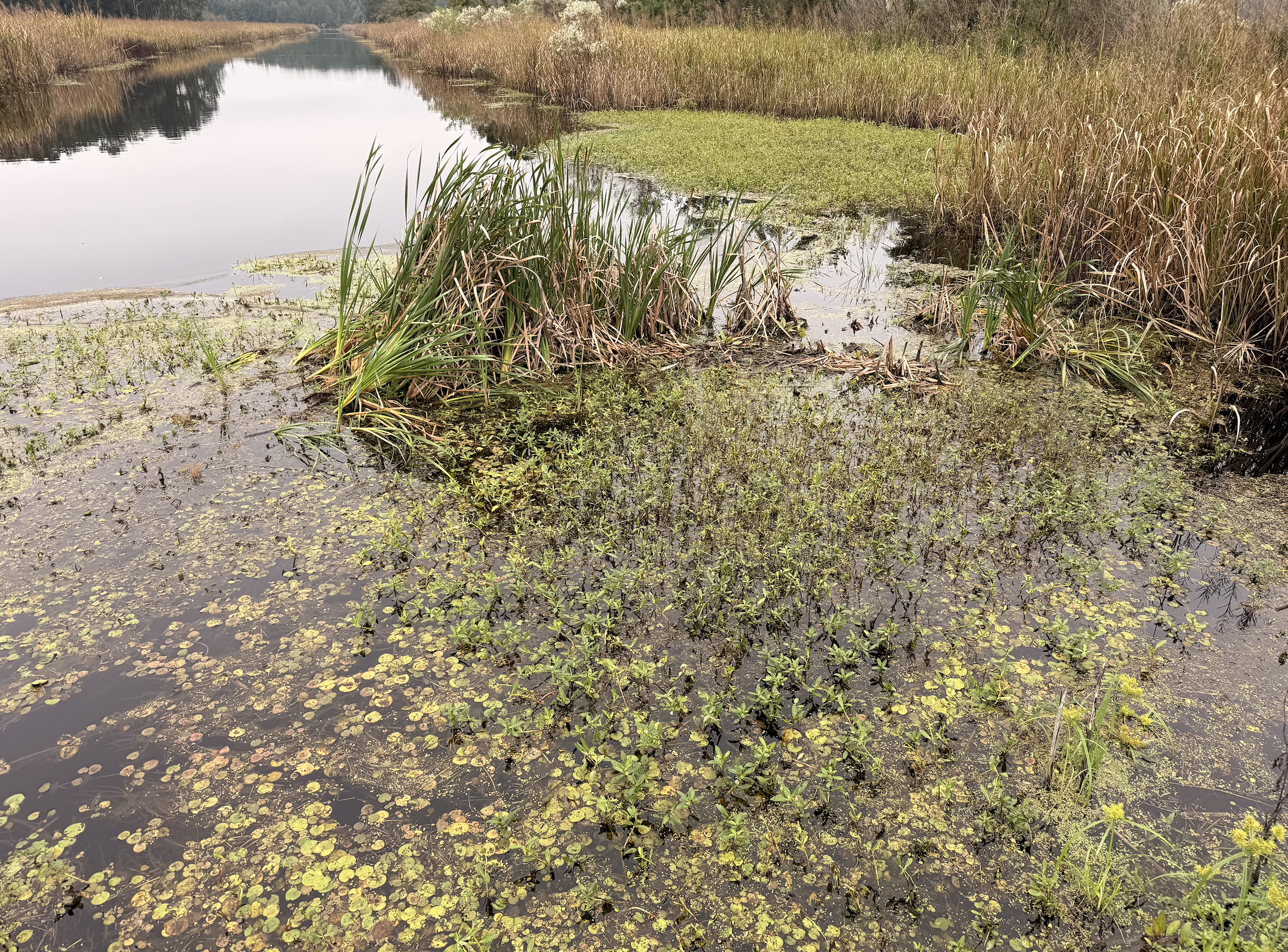 Screenshot 2025-10-19 at 8.06.34 PM.png