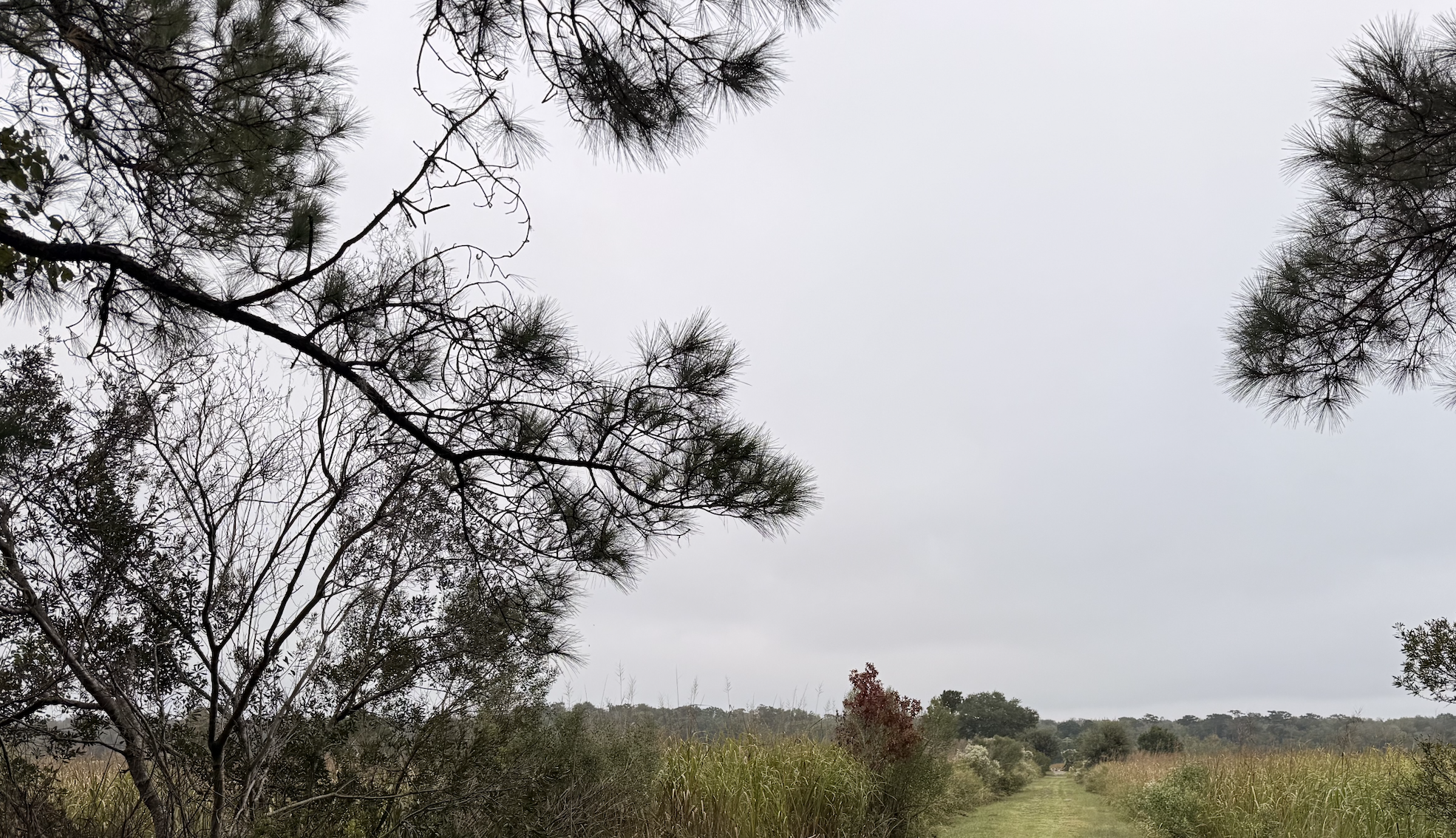 Screenshot 2025-10-19 at 8.23.40 PM.png