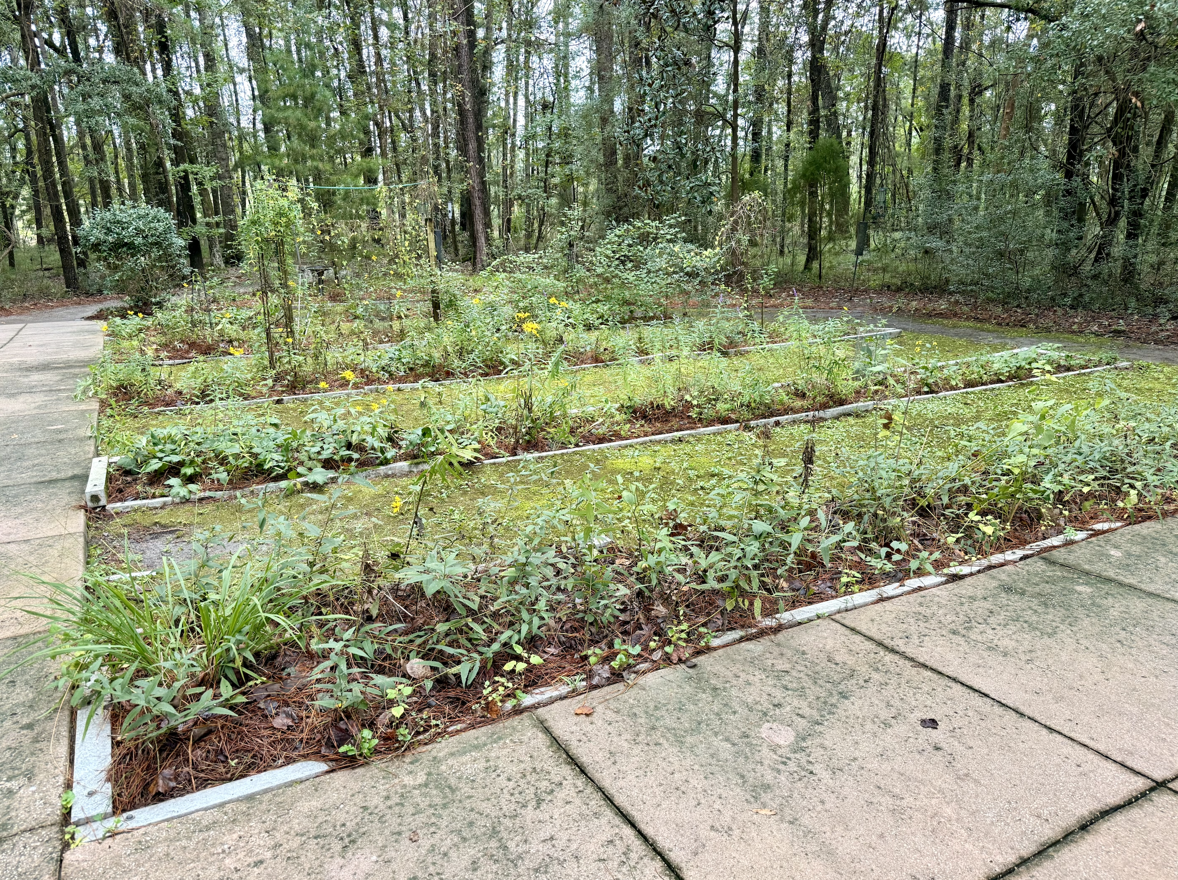 Screenshot 2025-10-19 at 8.07.54 PM.png