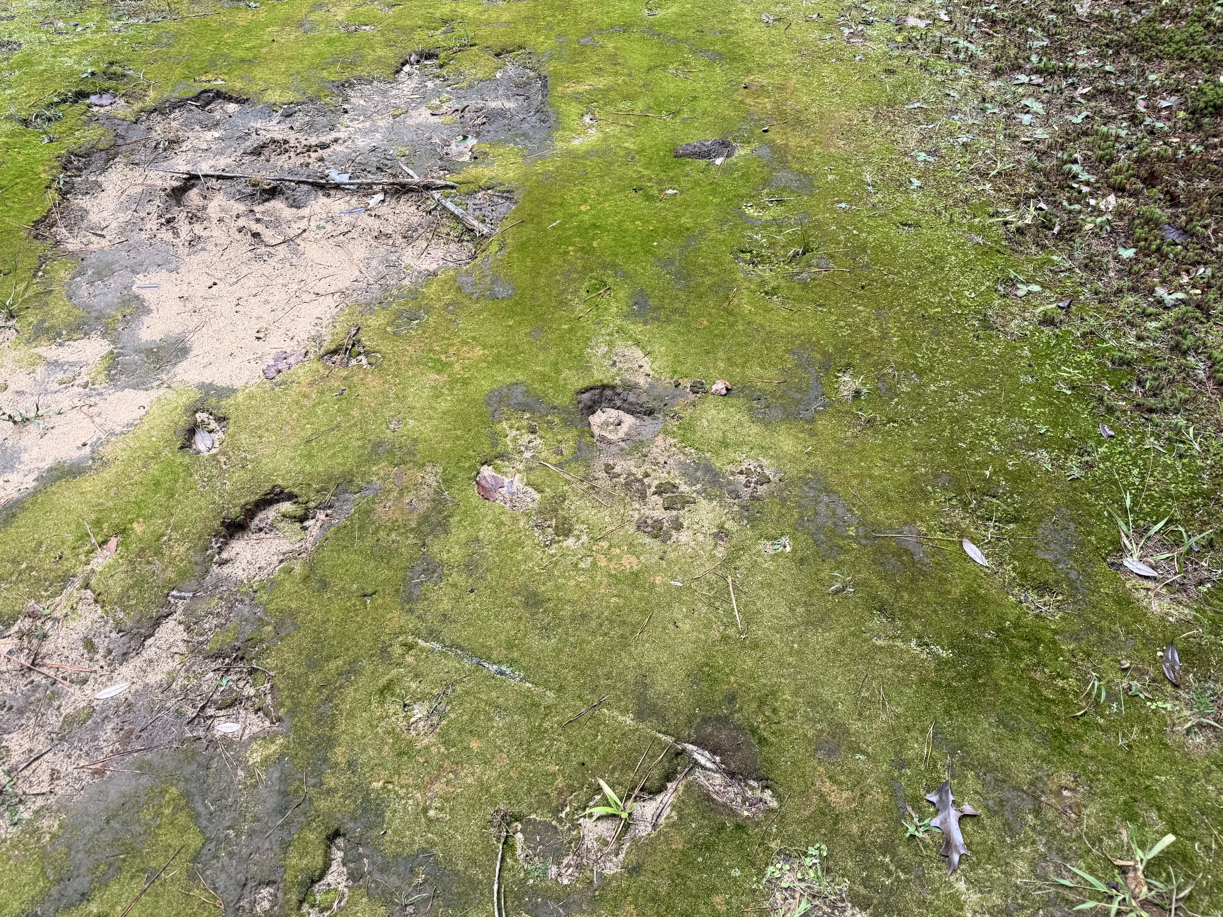 Screenshot 2025-10-19 at 8.03.48 PM.png