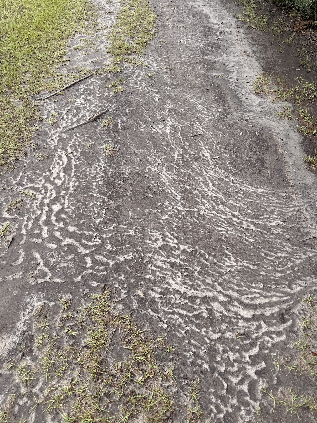 Screenshot 2025-10-19 at 8.03.14 PM.png