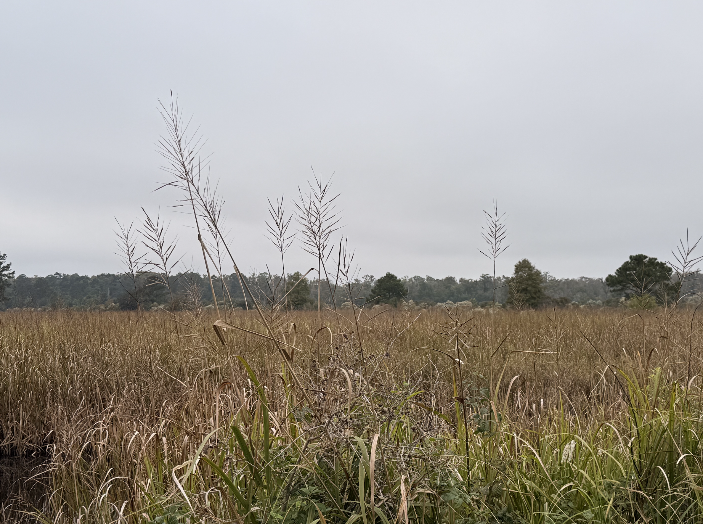 Screenshot 2025-10-19 at 8.07.27 PM.png